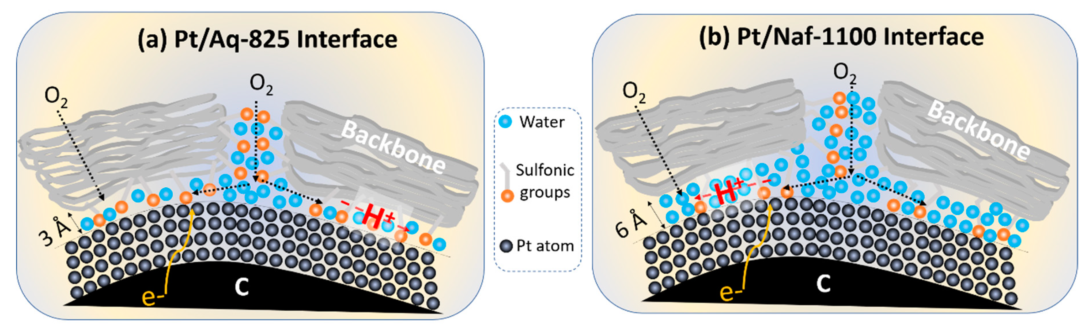 Molecules 25 03387 g005 Molecules 25 03387 g005