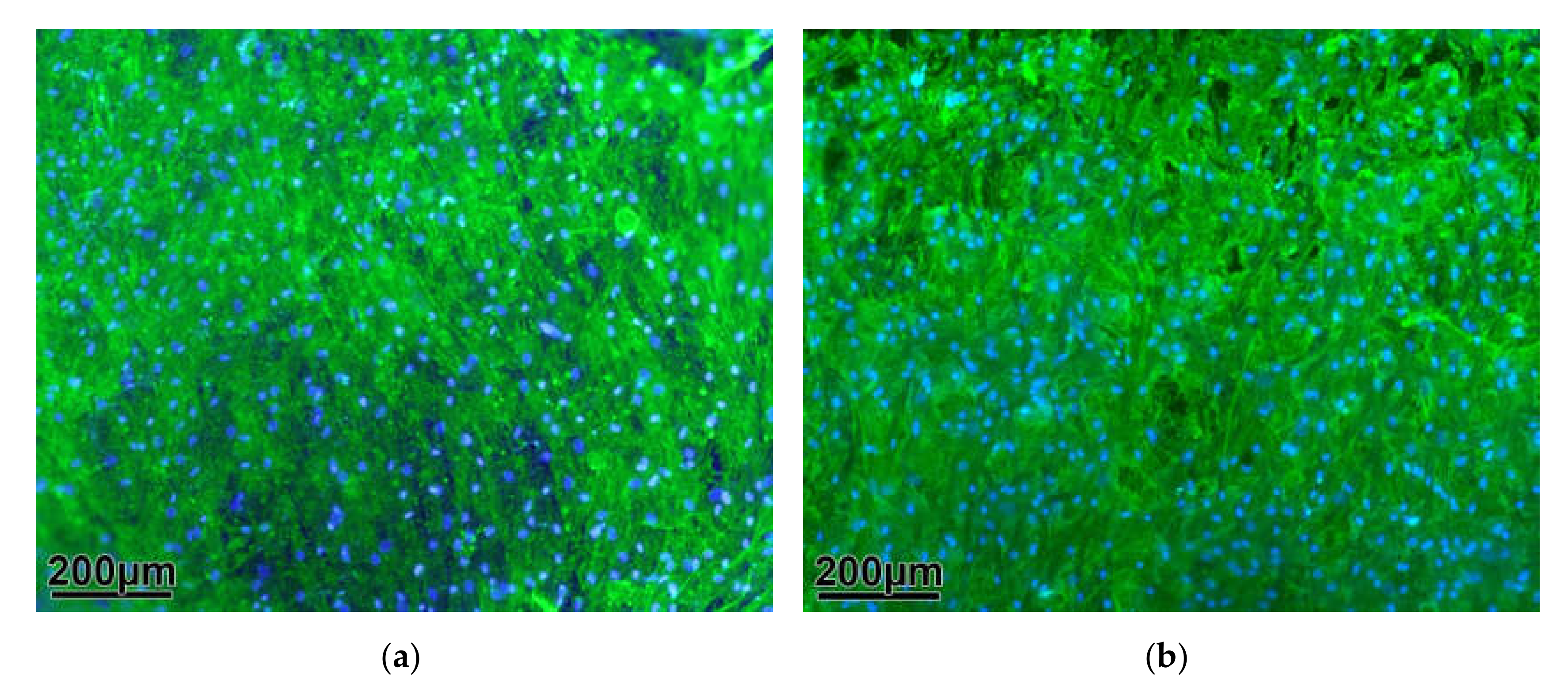 Molecules 25 03399 g002