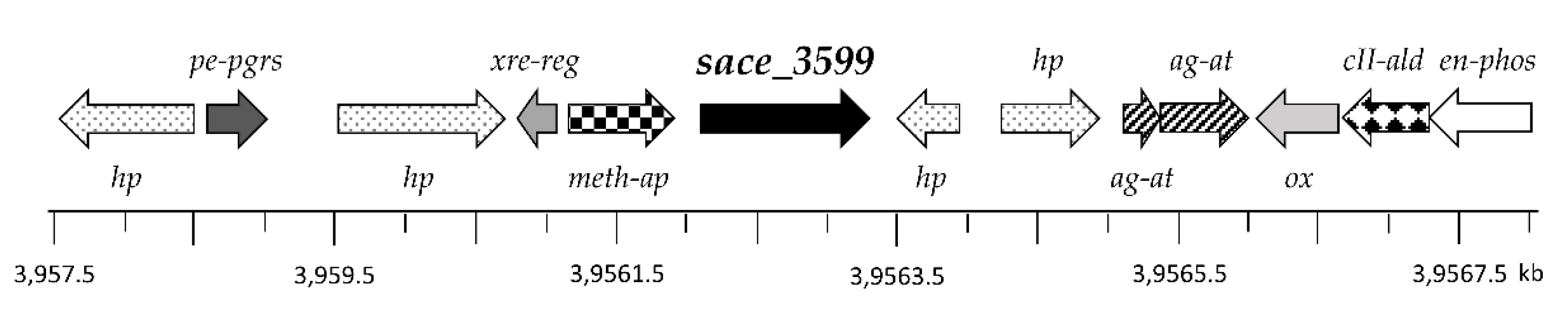 Molecules 25 03400 g007 Molecules 25 03400 g007