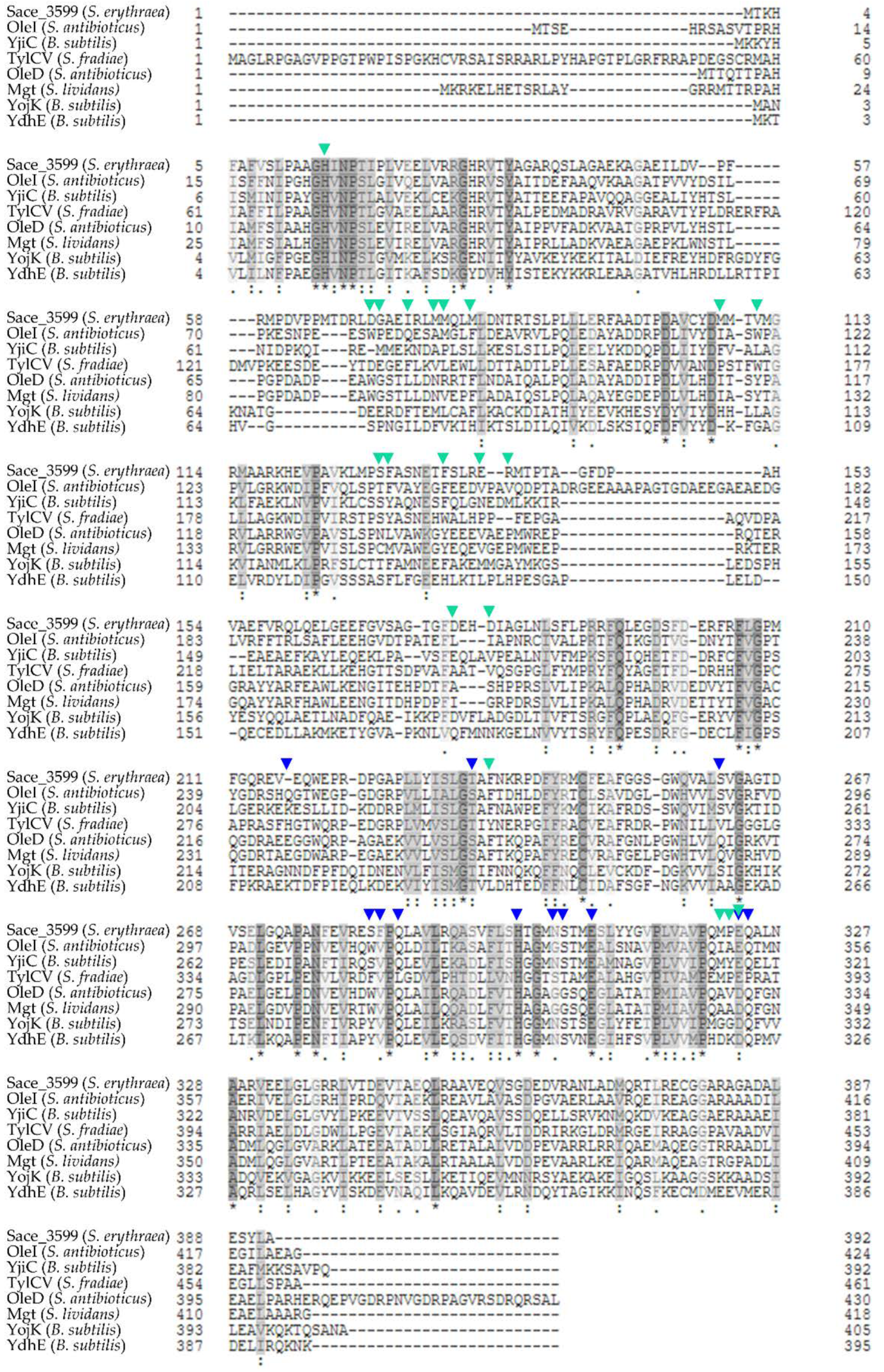 Molecules 25 03400 g008 Molecules 25 03400 g008