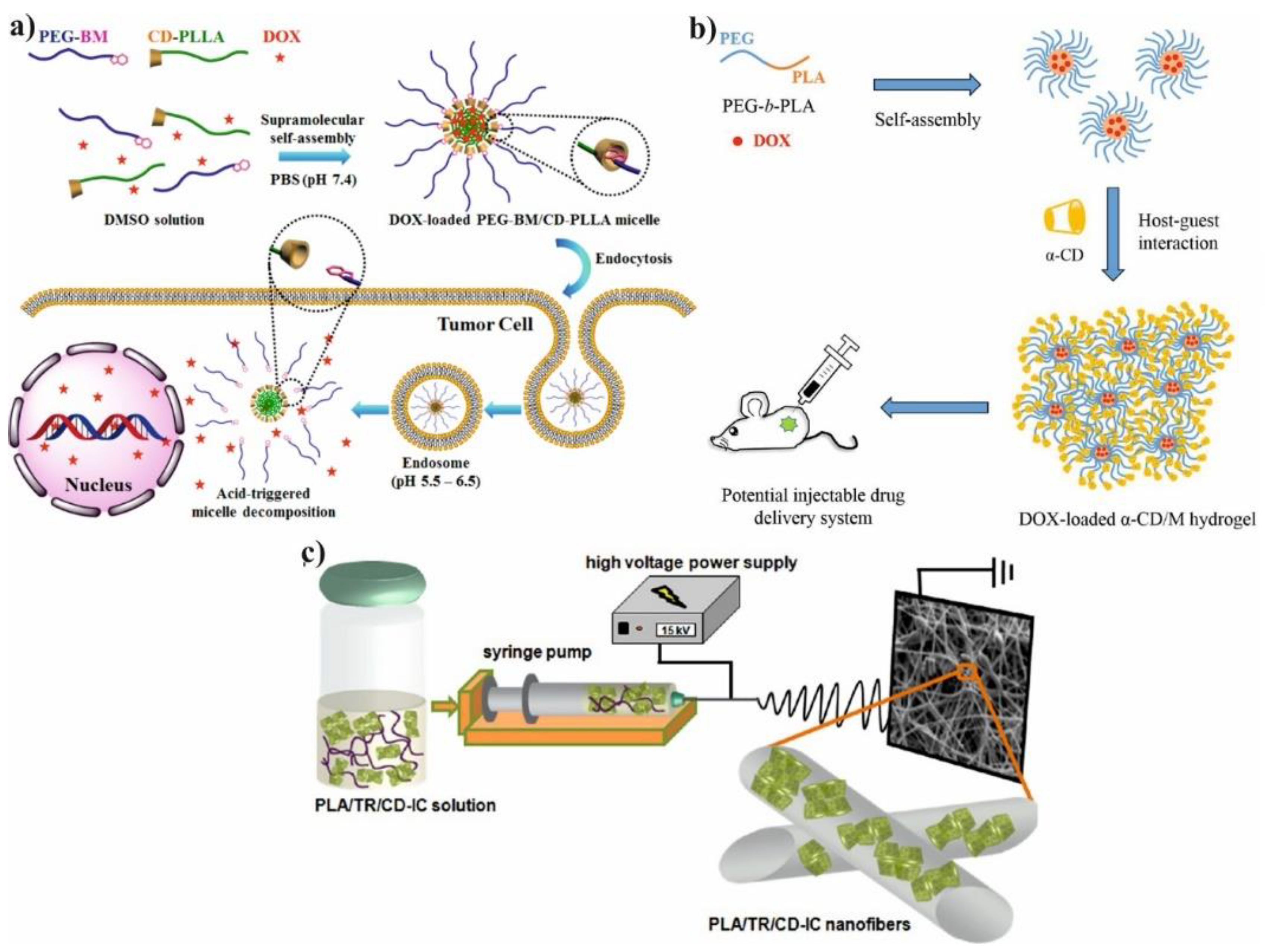 Molecules 25 03404 g003