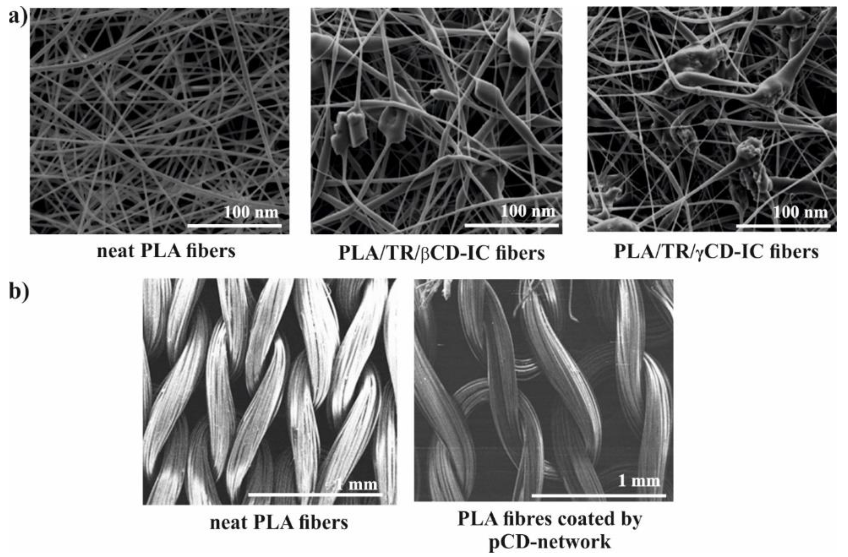 Molecules 25 03404 g004
