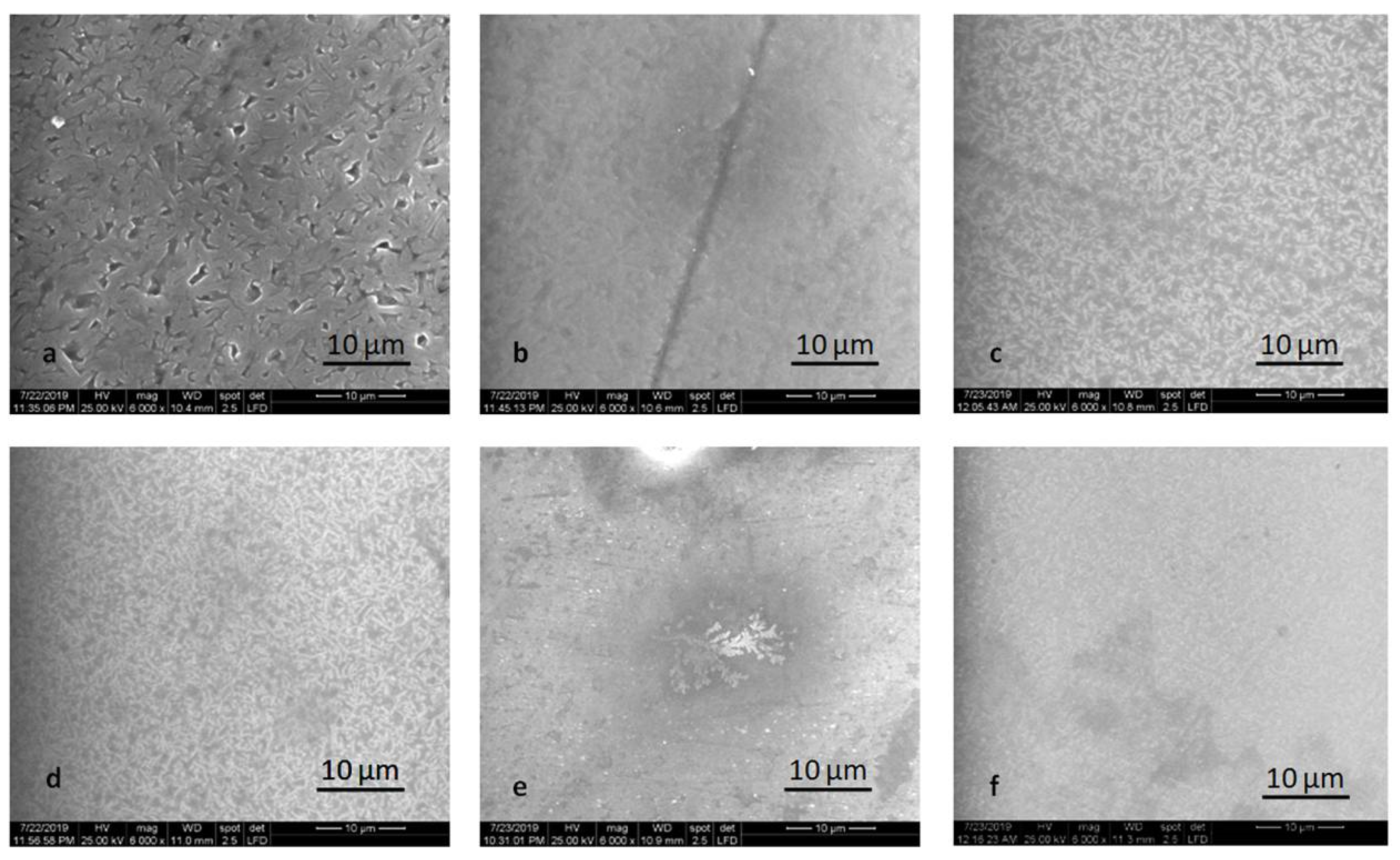 Molecules 25 03407 g005