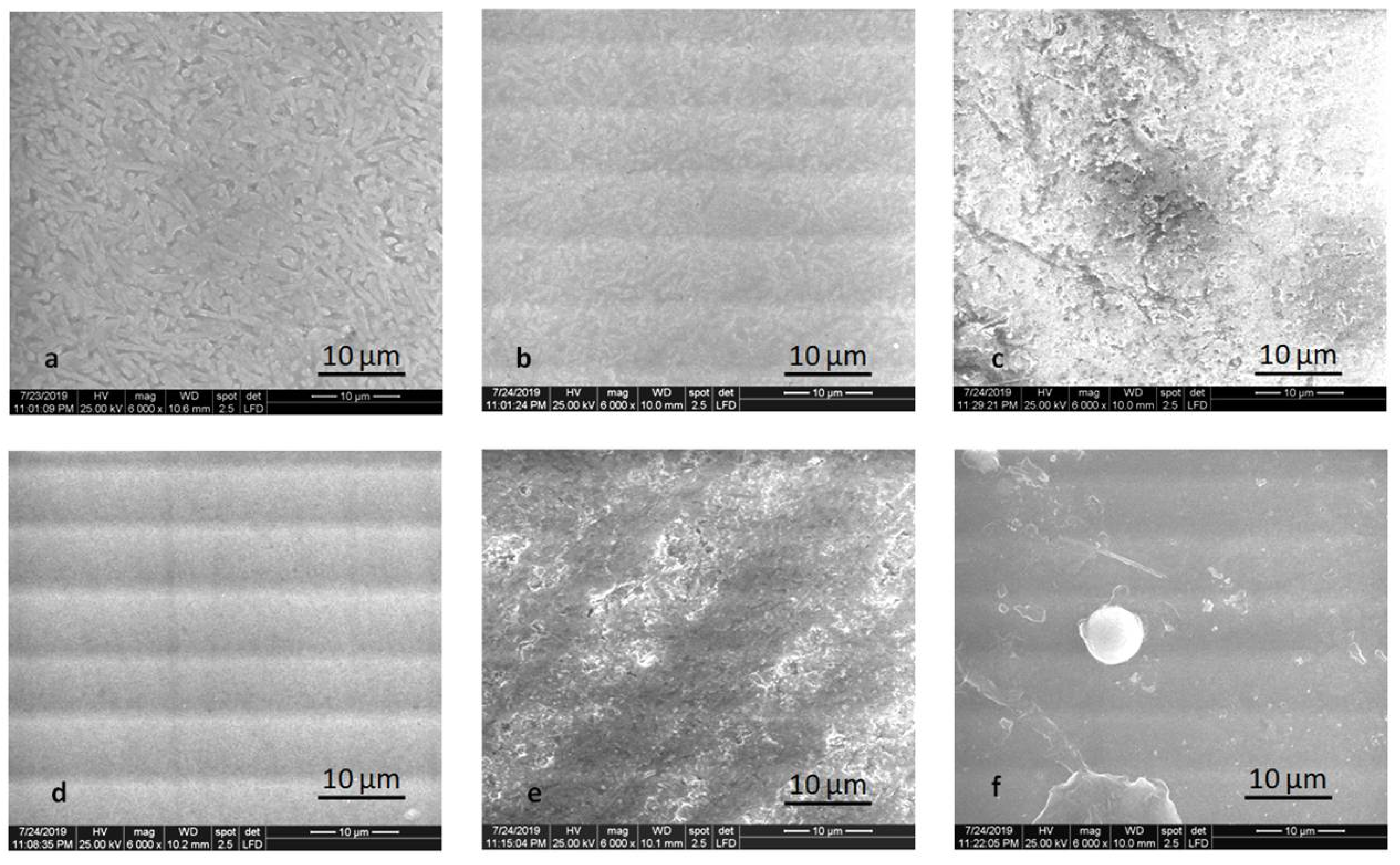 Molecules 25 03407 g007