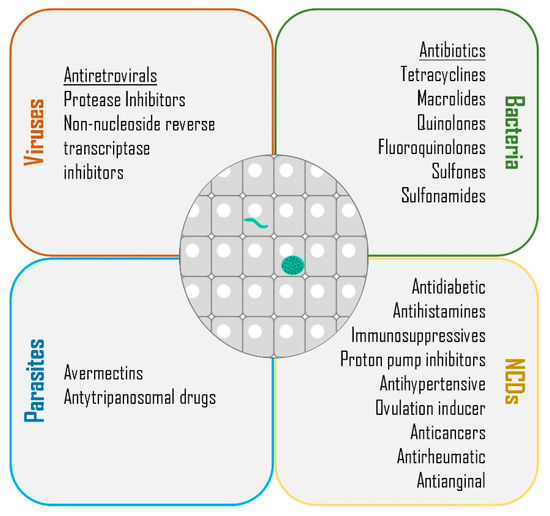 molecules free full text repurposing drugs to fight hepatic malaria parasites html