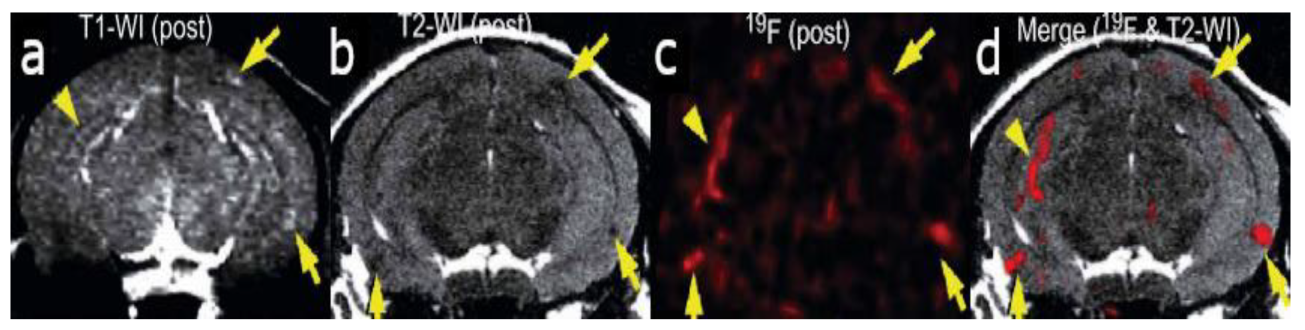 Molecules 25 03413 g001 Molecules 25 03413 g001