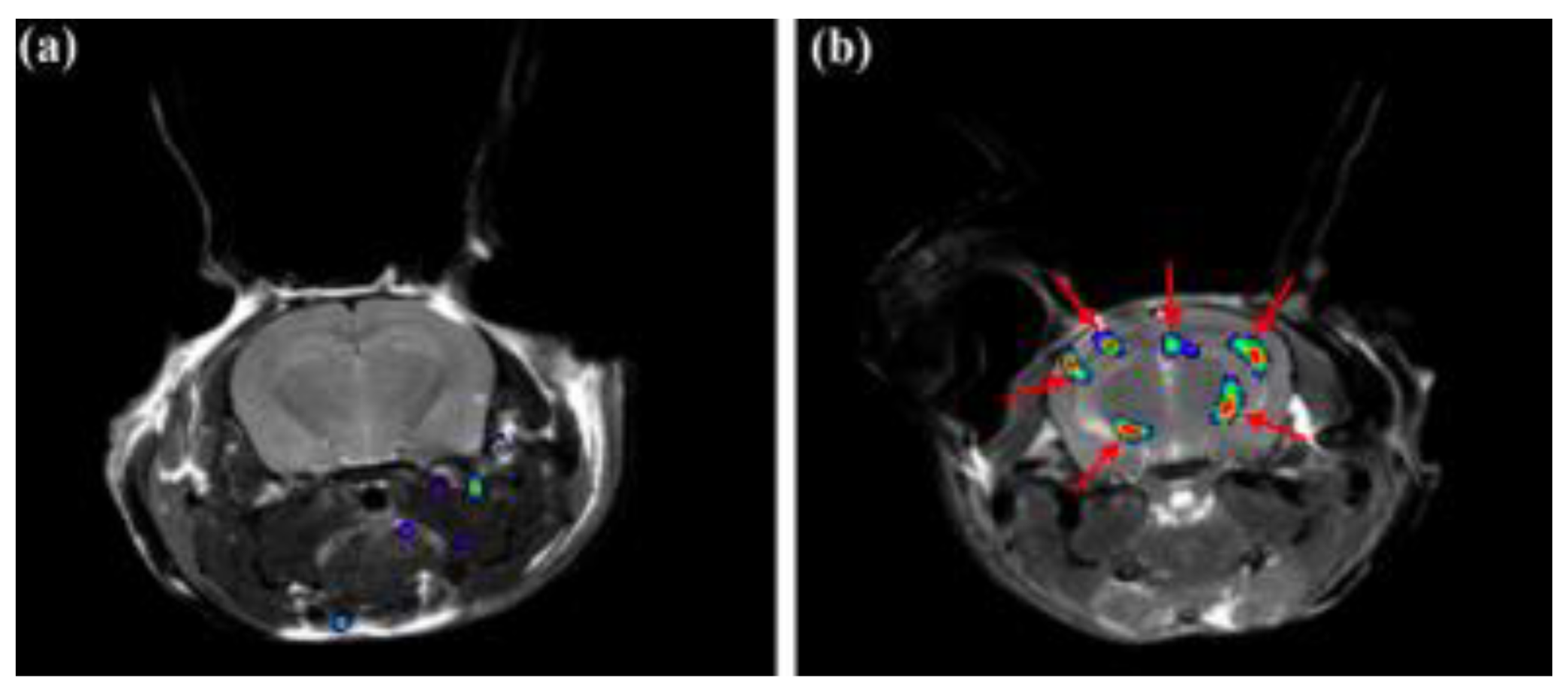 Molecules 25 03413 g002 Molecules 25 03413 g002
