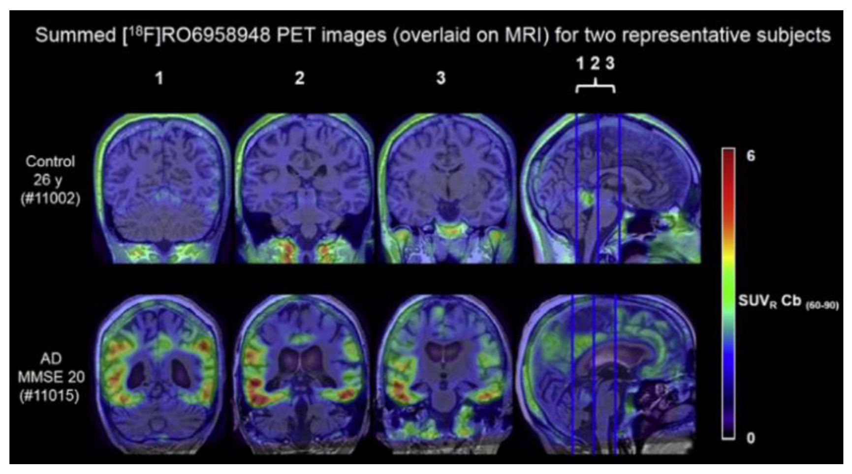 Molecules 25 03413 g007 Molecules 25 03413 g007