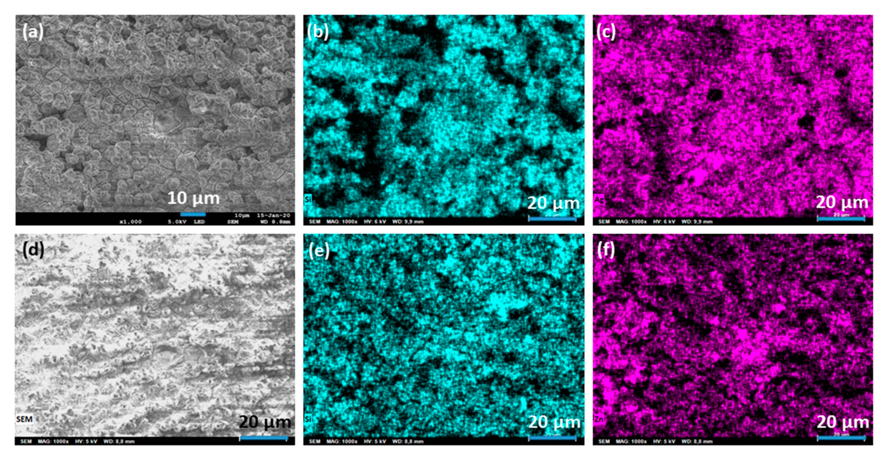 Molecules 25 03414 g005