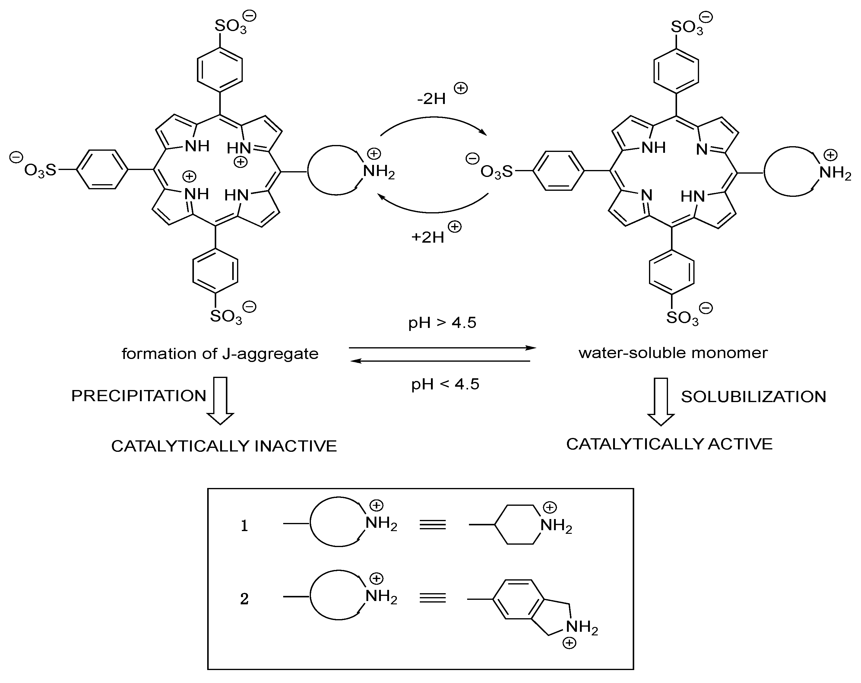 Molecules 25 03420 sch001