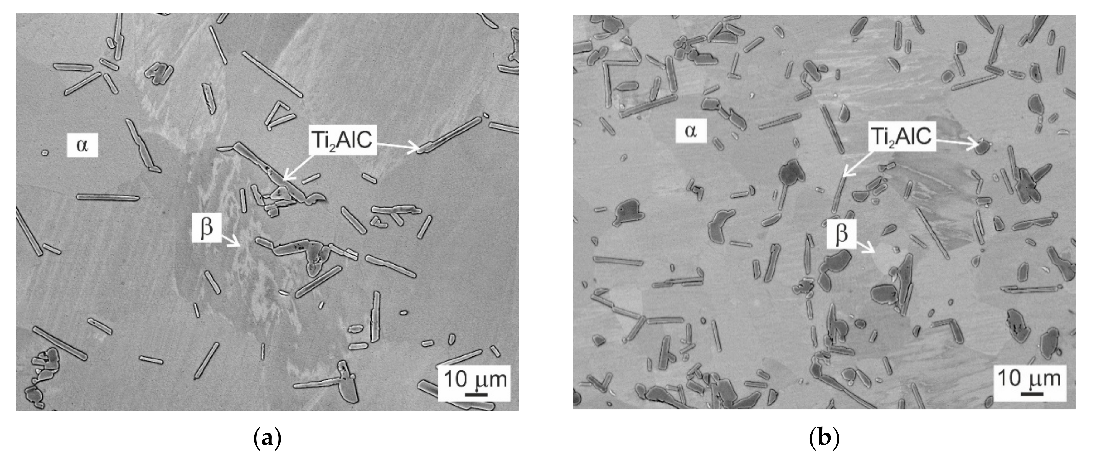 Molecules 25 03423 g003 Molecules 25 03423 g003