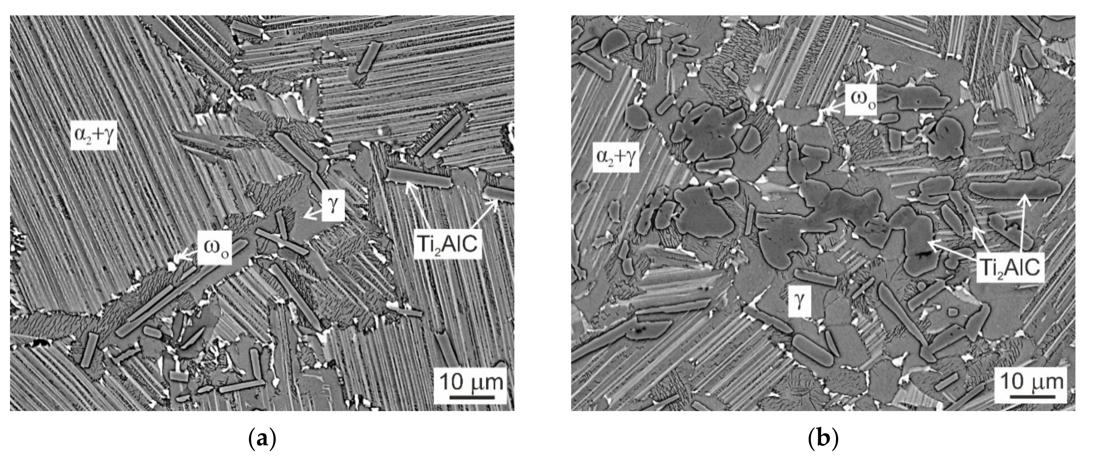 Molecules 25 03423 g006 Molecules 25 03423 g006