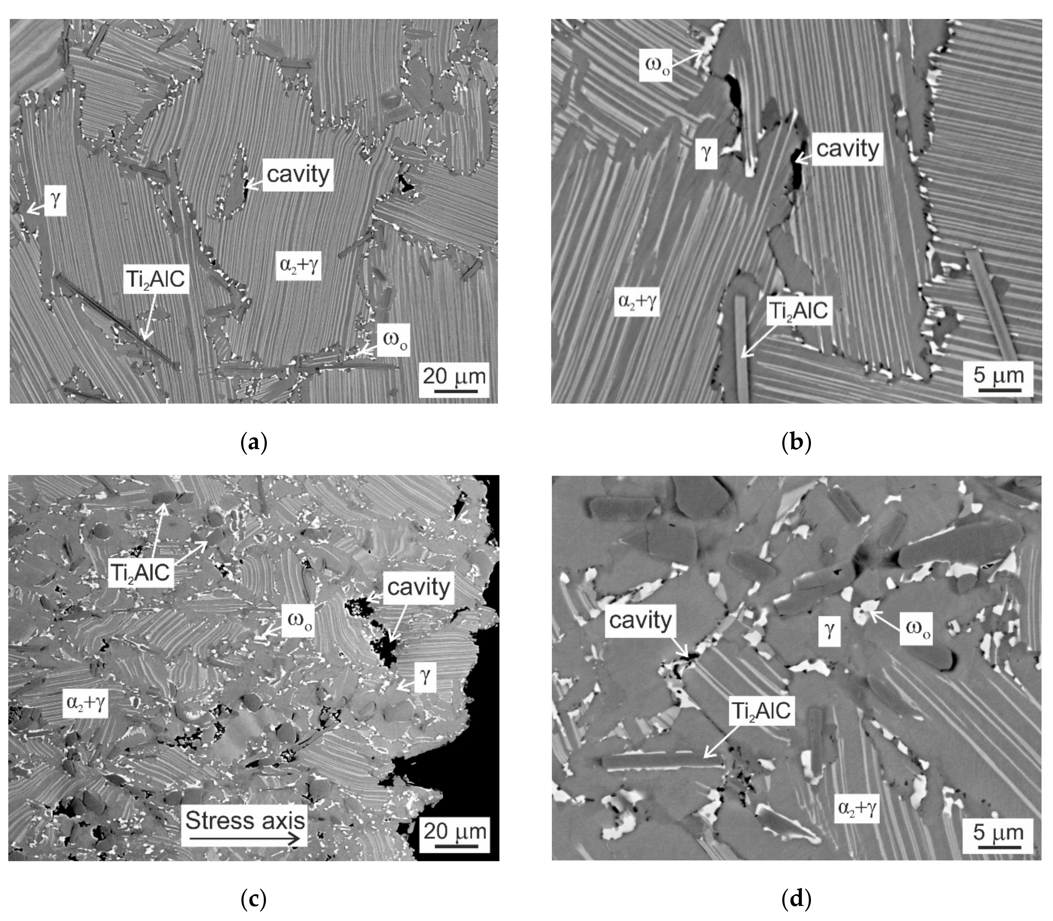 Molecules 25 03423 g010 Molecules 25 03423 g010