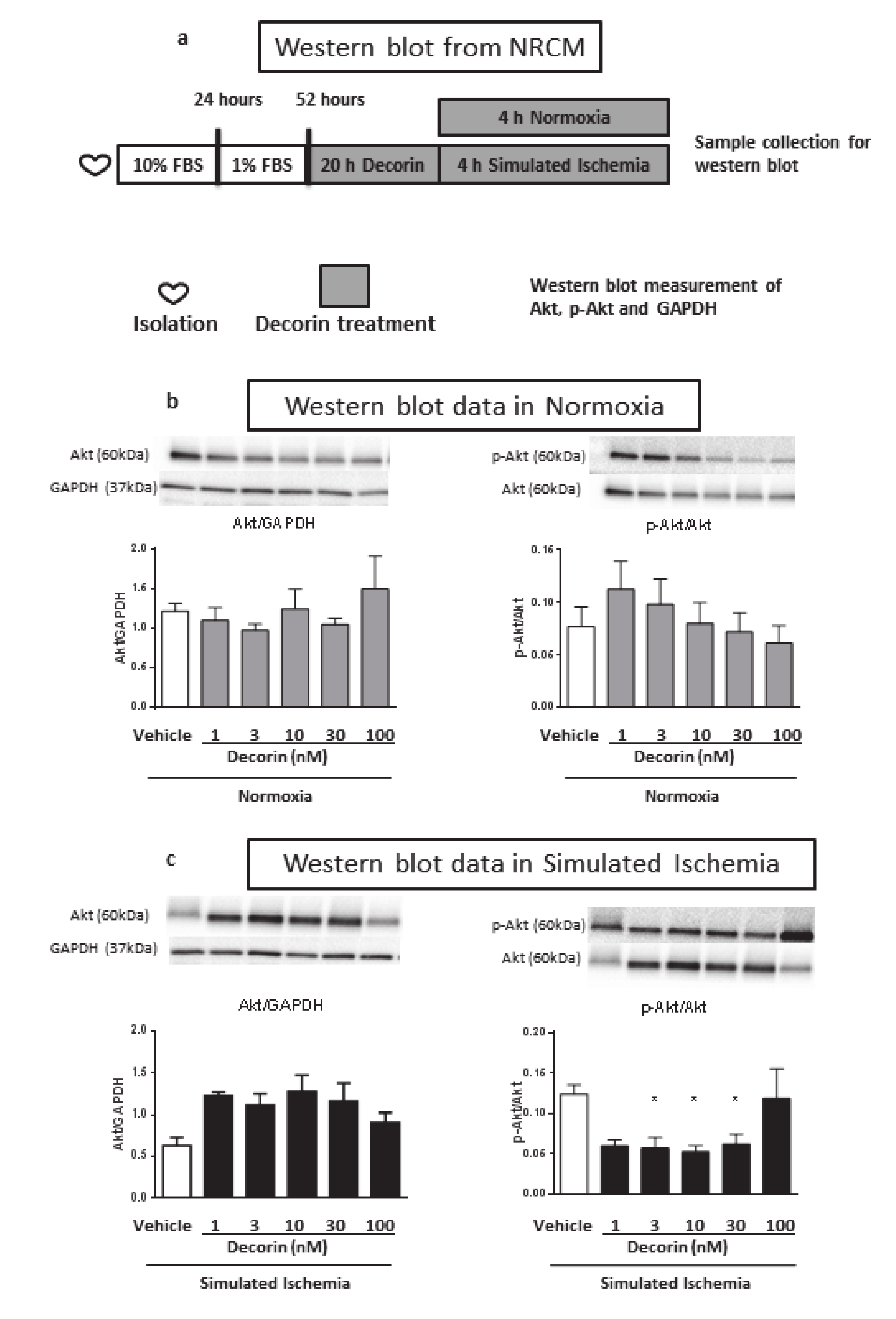 Molecules 25 03426 g005 Molecules 25 03426 g005