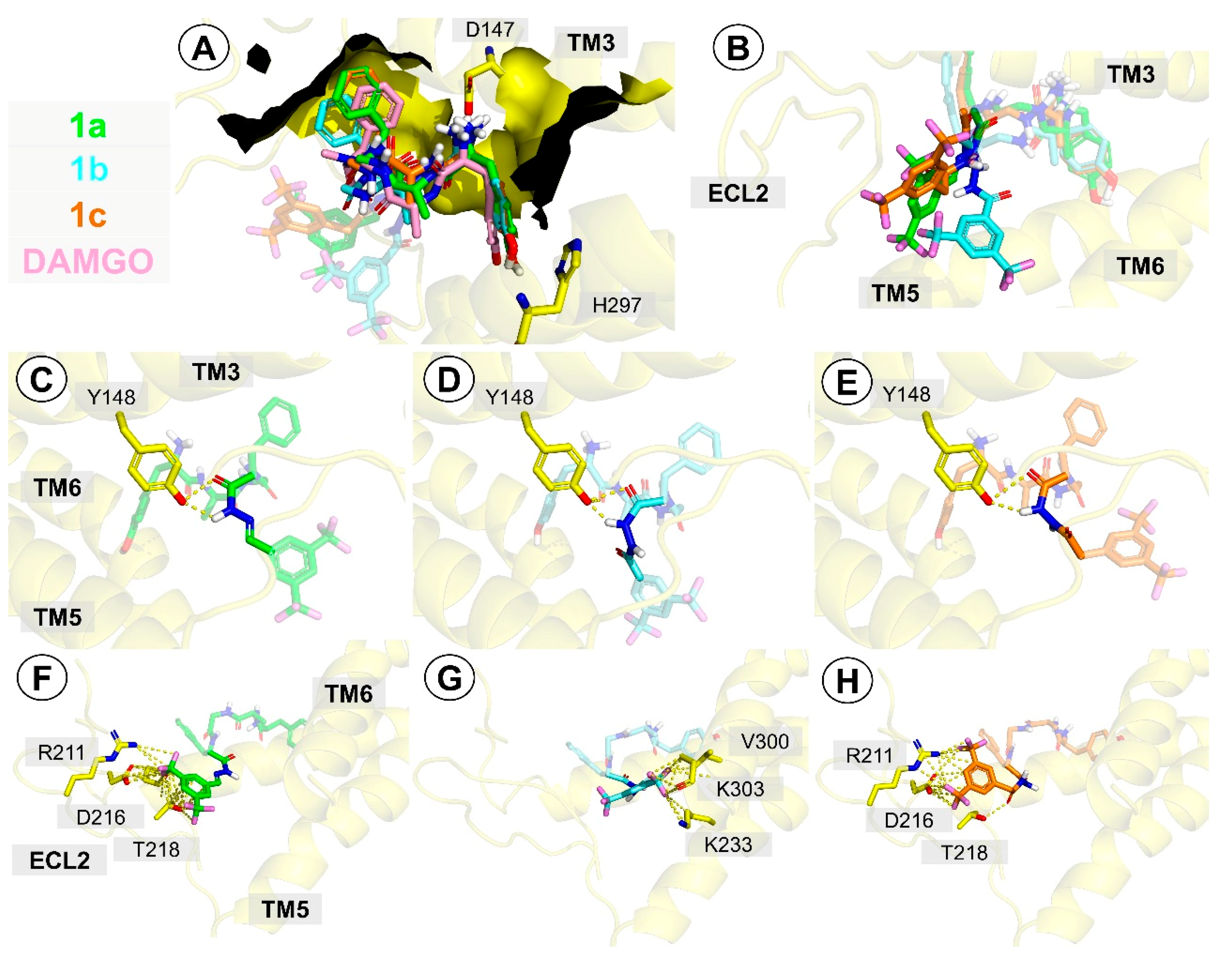Molecules 25 03429 g004 Molecules 25 03429 g004
