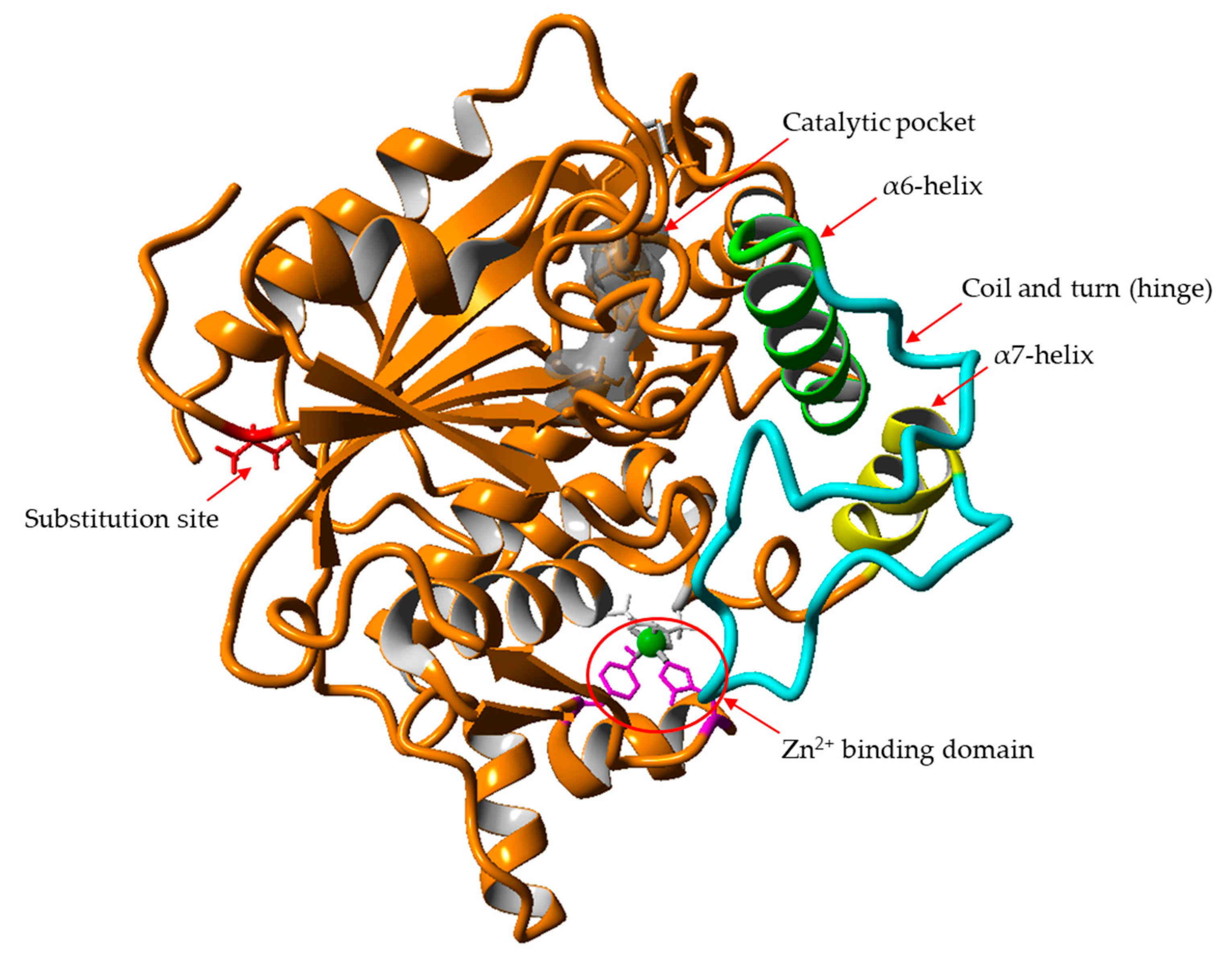 Molecules 25 03433 g004 Molecules 25 03433 g004