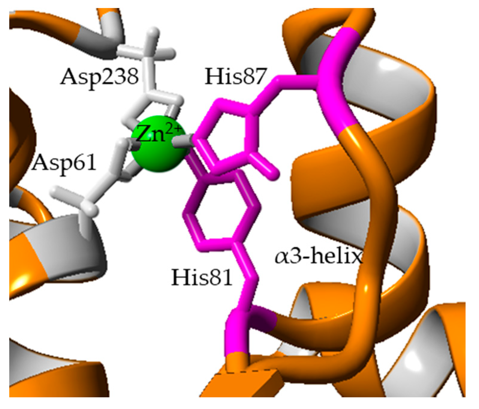 Molecules 25 03433 g005 Molecules 25 03433 g005