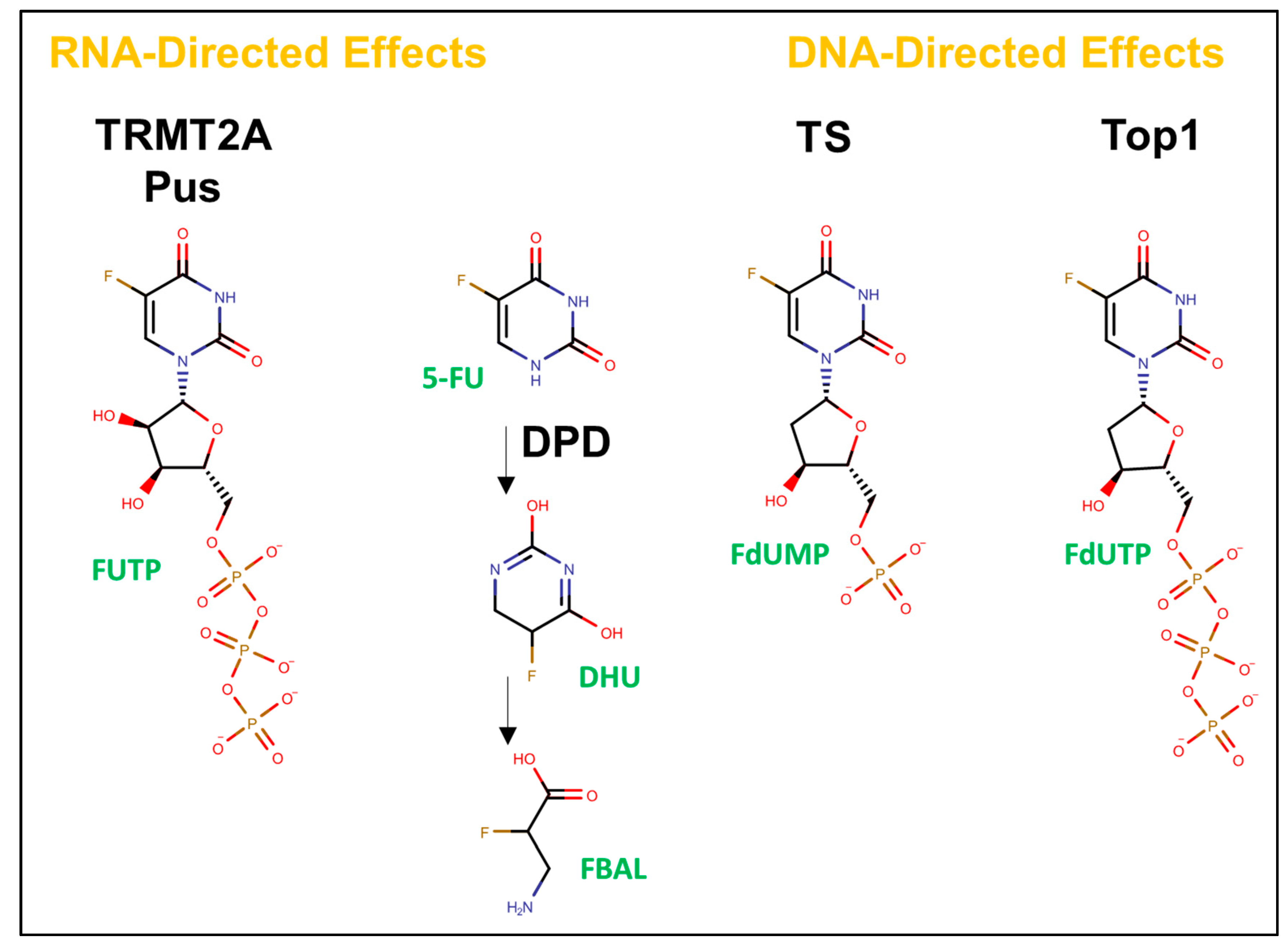 Molecules 25 03438 g001 Molecules 25 03438 g001