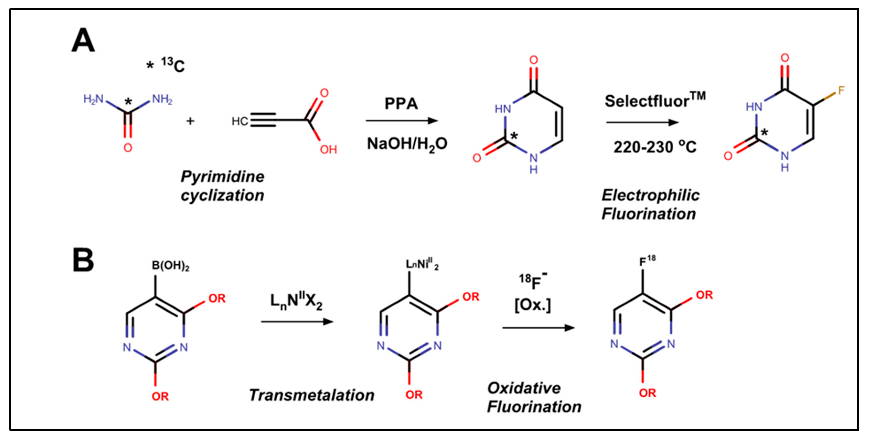 Molecules 25 03438 g002 Molecules 25 03438 g002