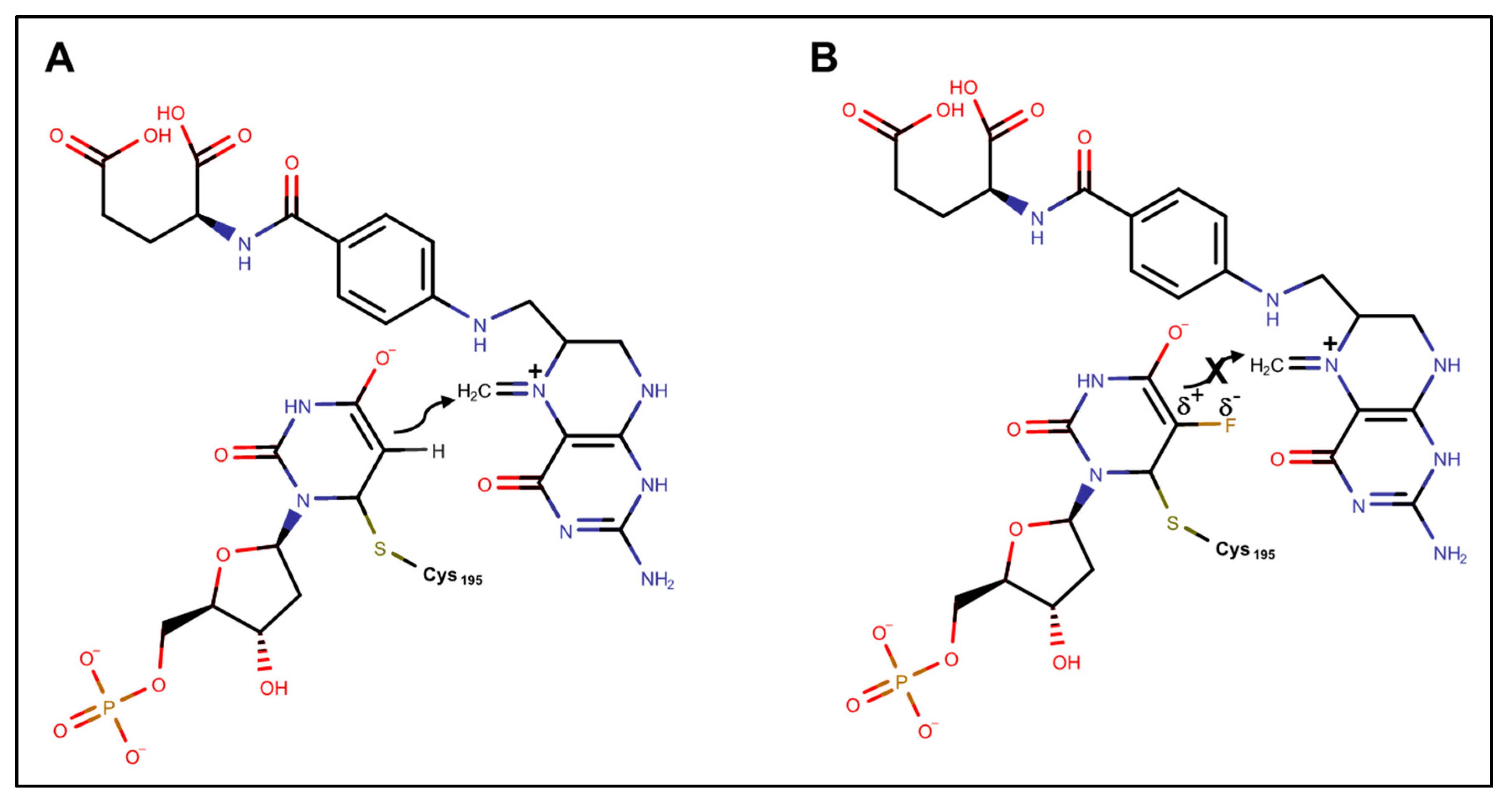 Molecules 25 03438 g003 Molecules 25 03438 g003