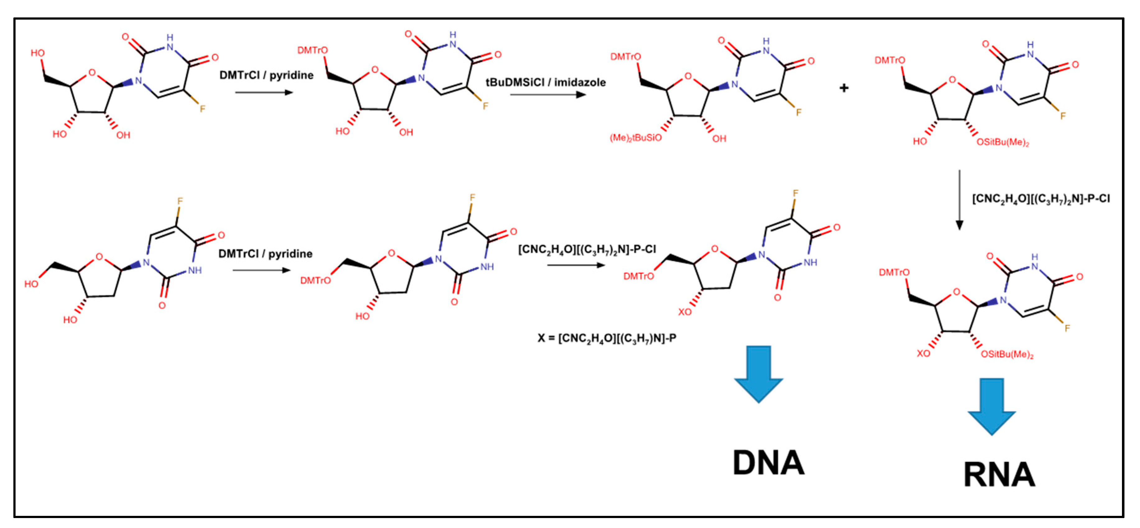 Molecules 25 03438 g004 Molecules 25 03438 g004