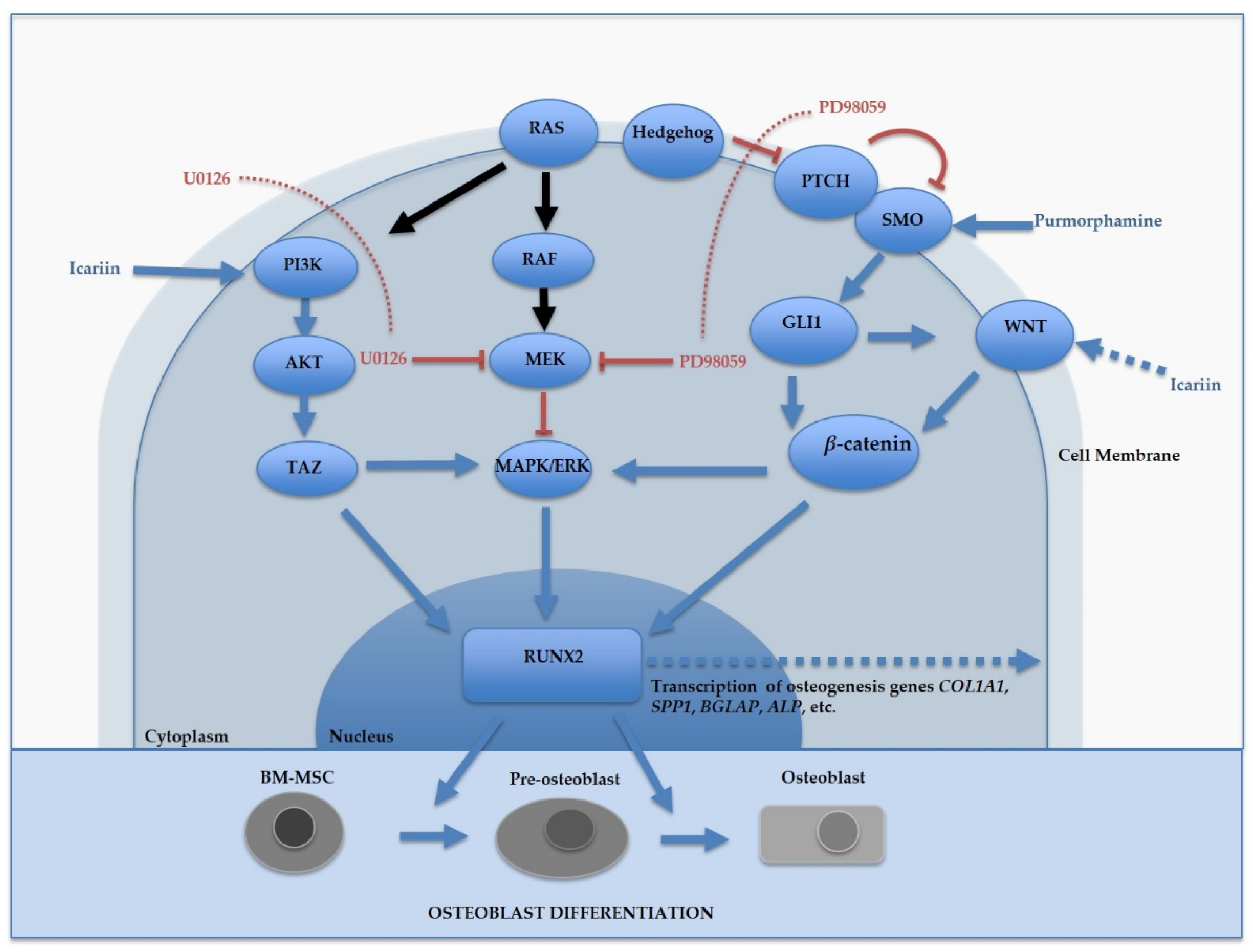 Molecules 25 03442 g005