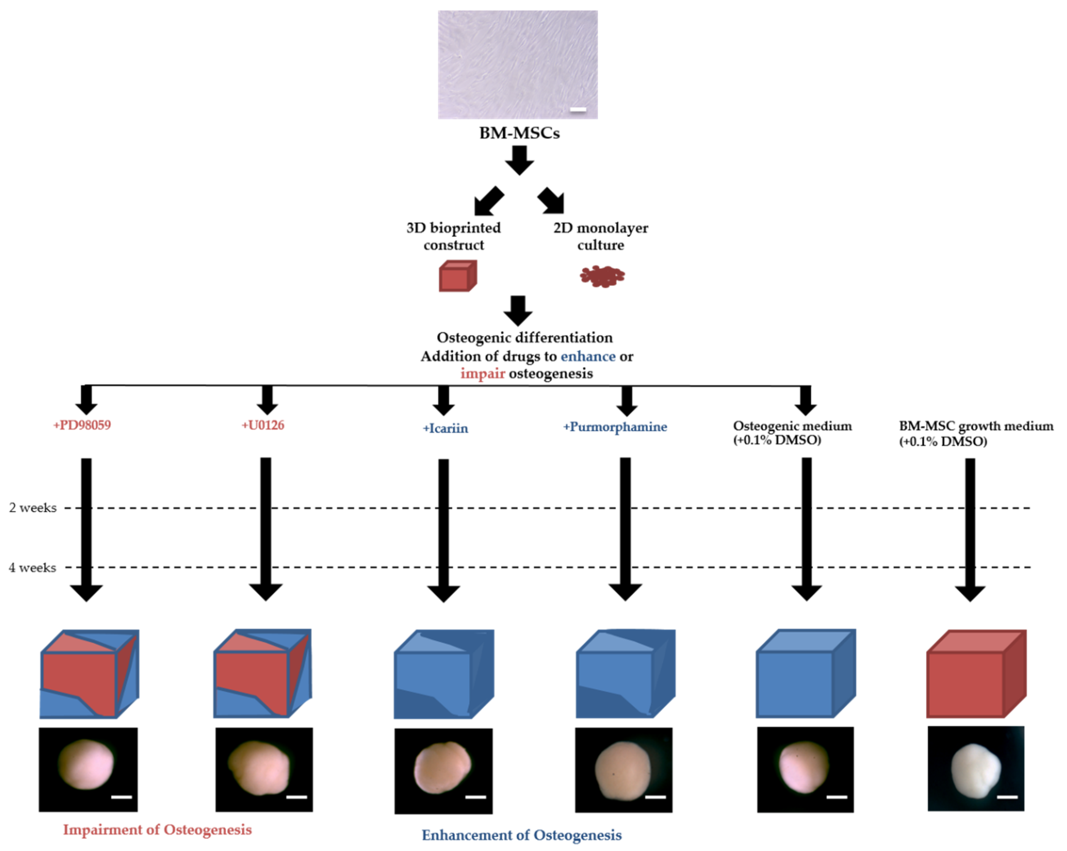 Molecules 25 03442 g006
