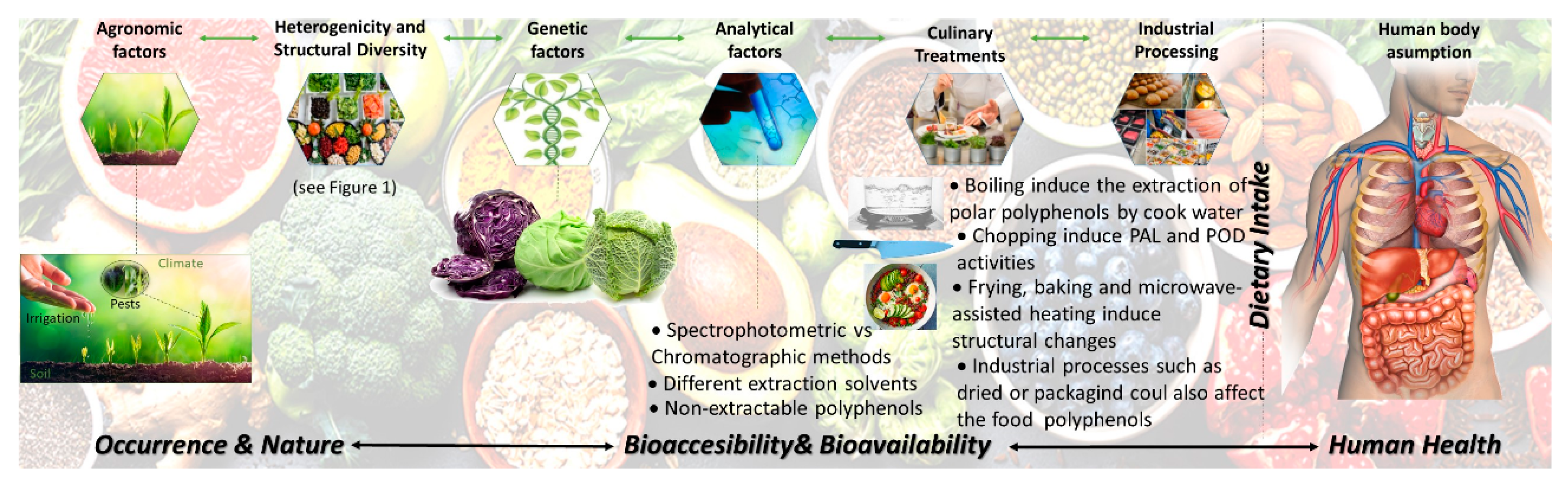 Molecules 25 03443 g002
