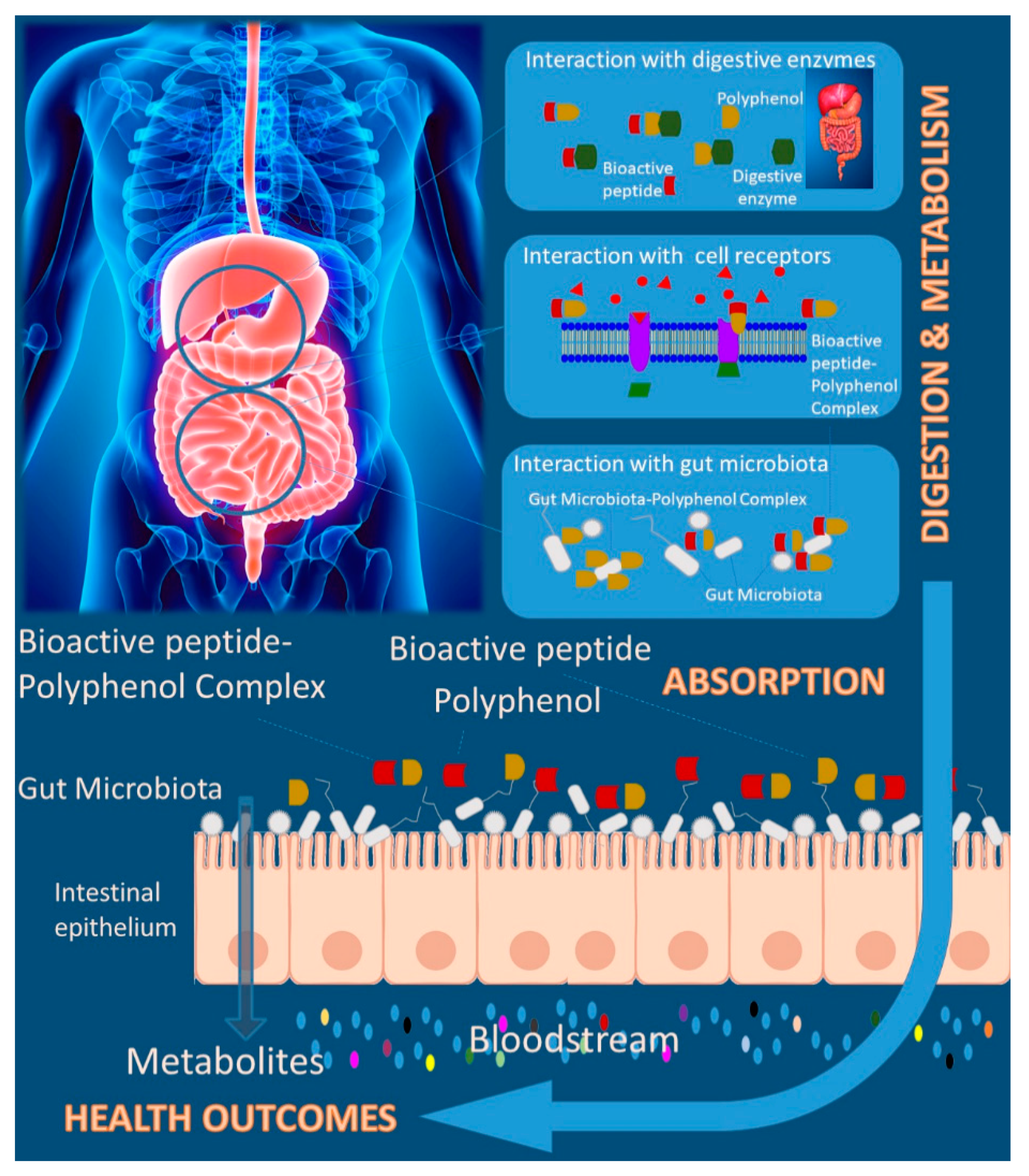 Molecules 25 03443 g003