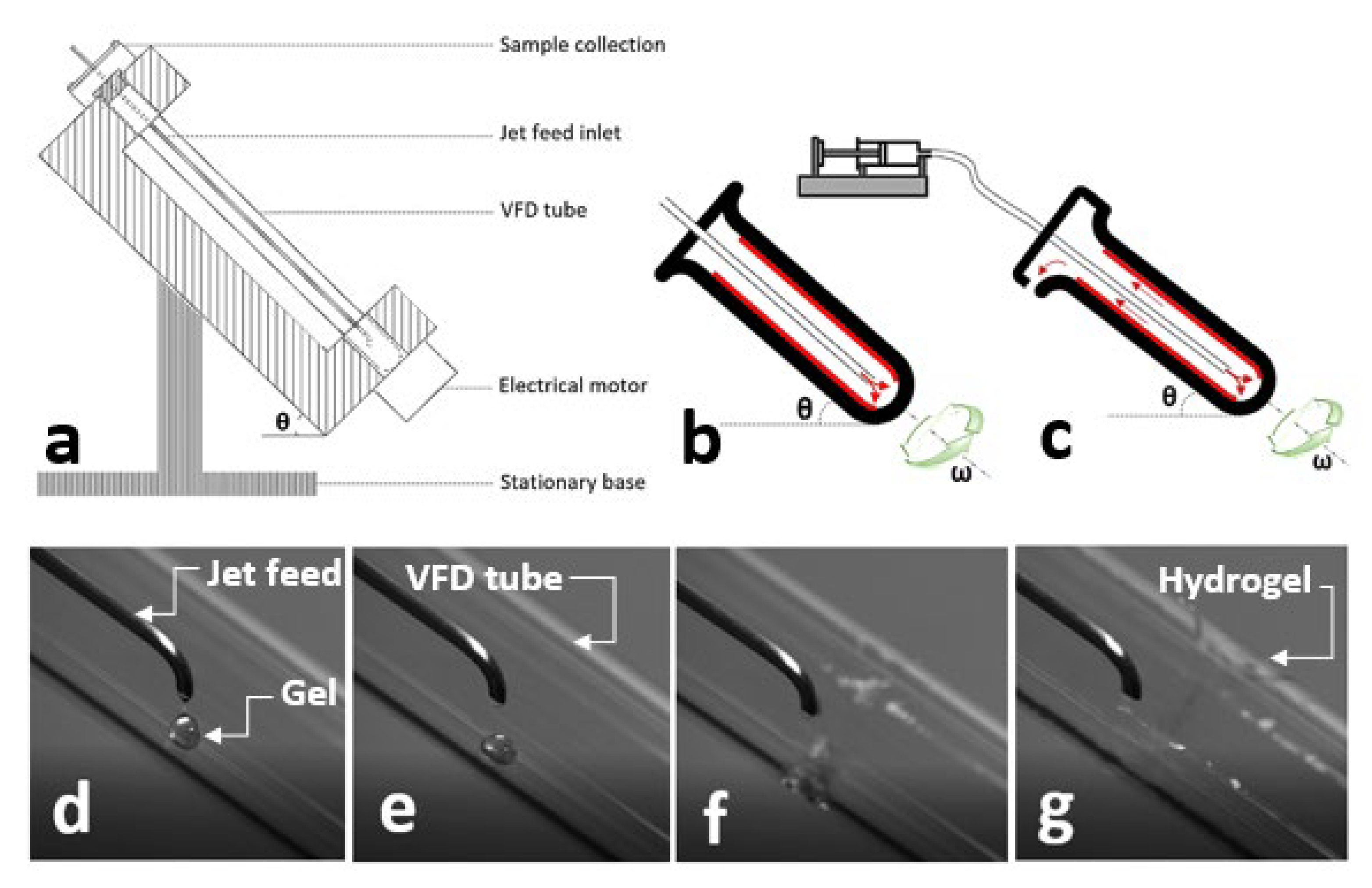 Molecules 25 03445 g001