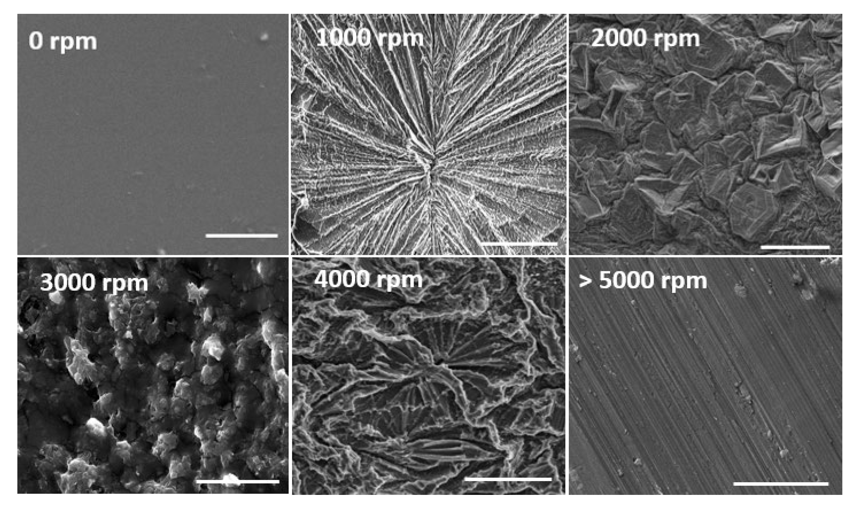 Molecules 25 03445 g002