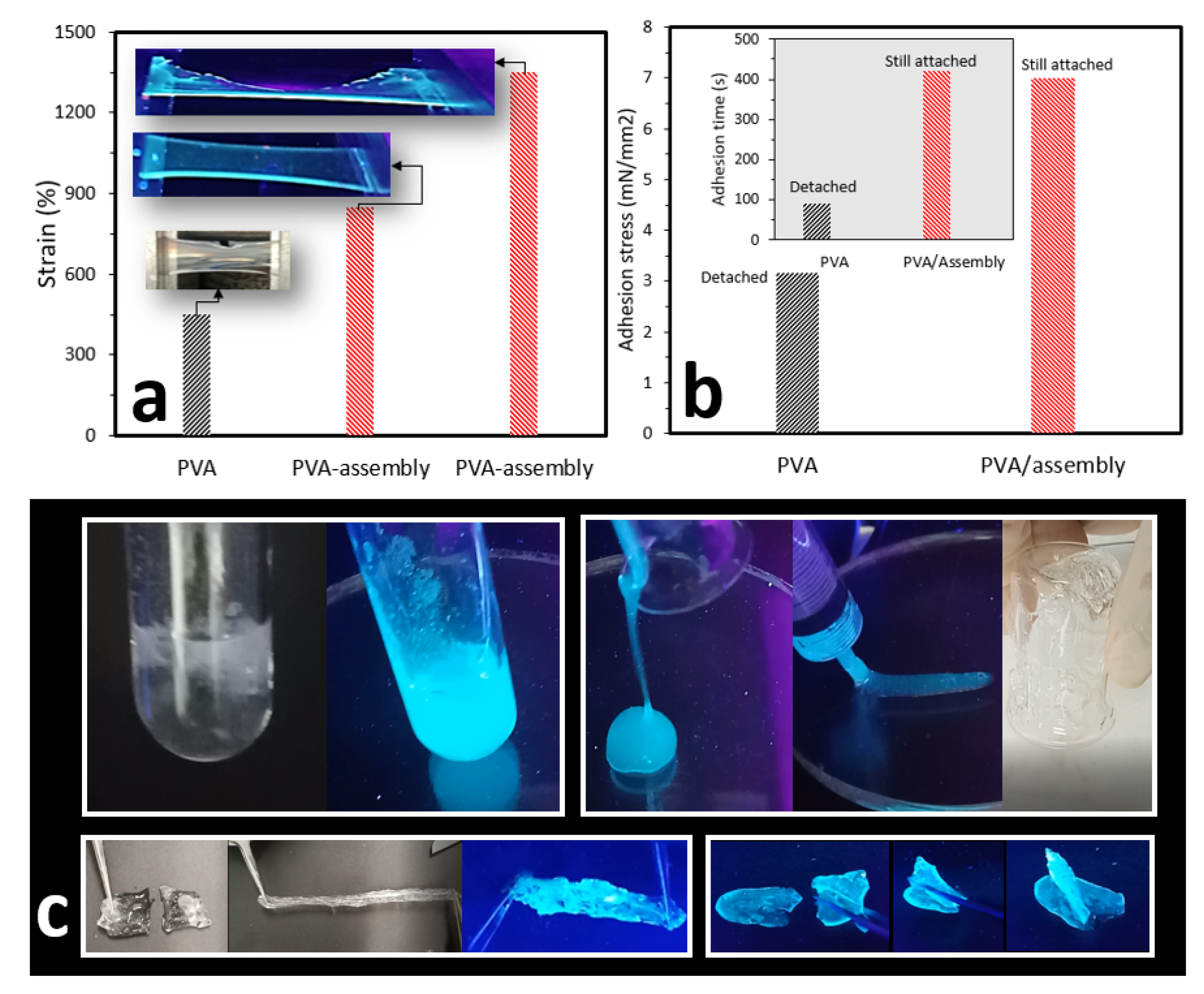Molecules 25 03445 g005