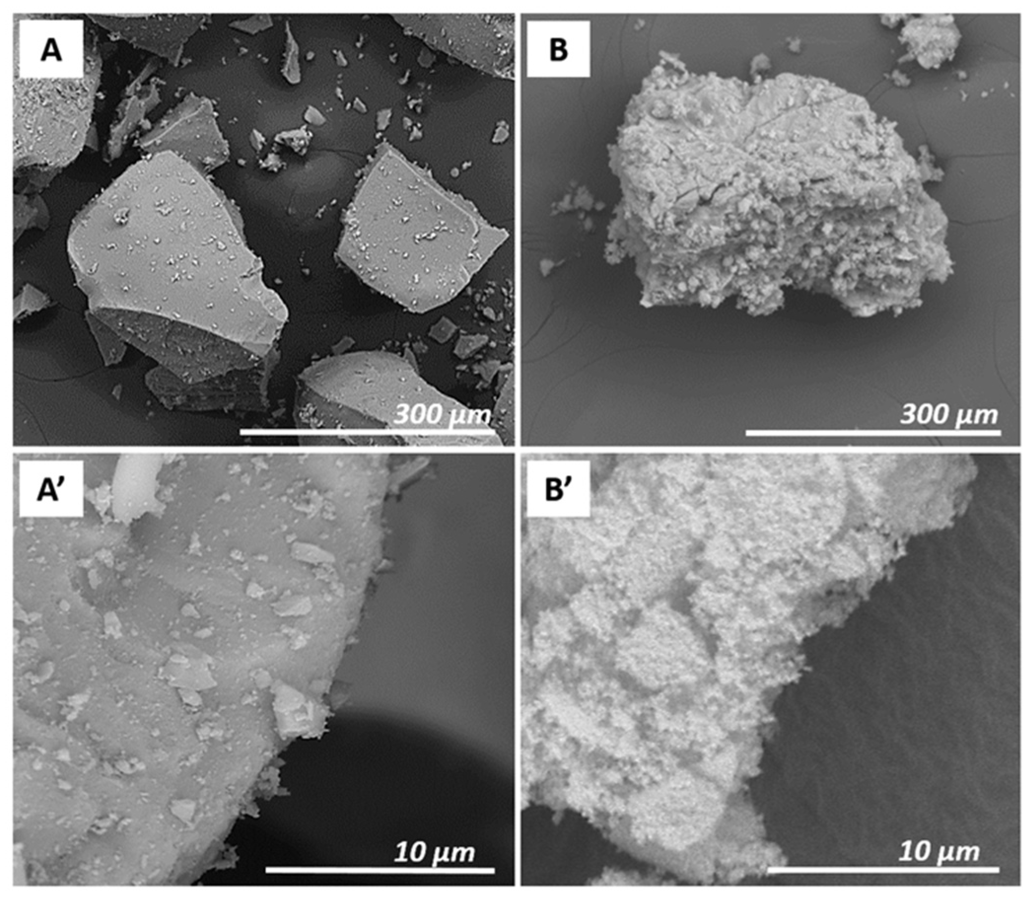 Molecules 25 03447 g001 Molecules 25 03447 g001