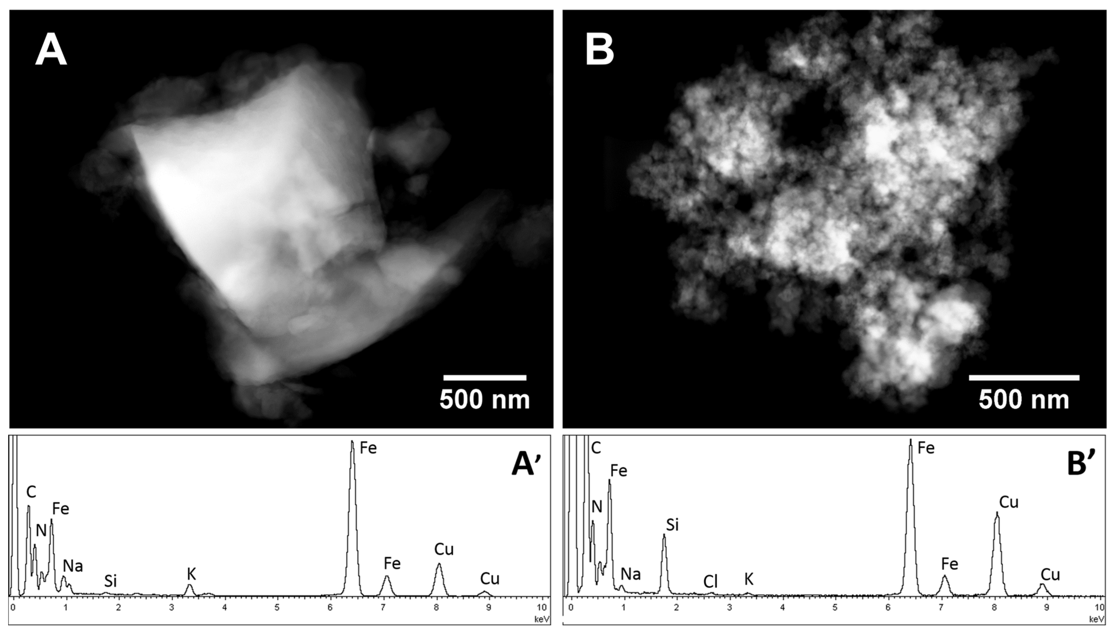 Molecules 25 03447 g002 Molecules 25 03447 g002