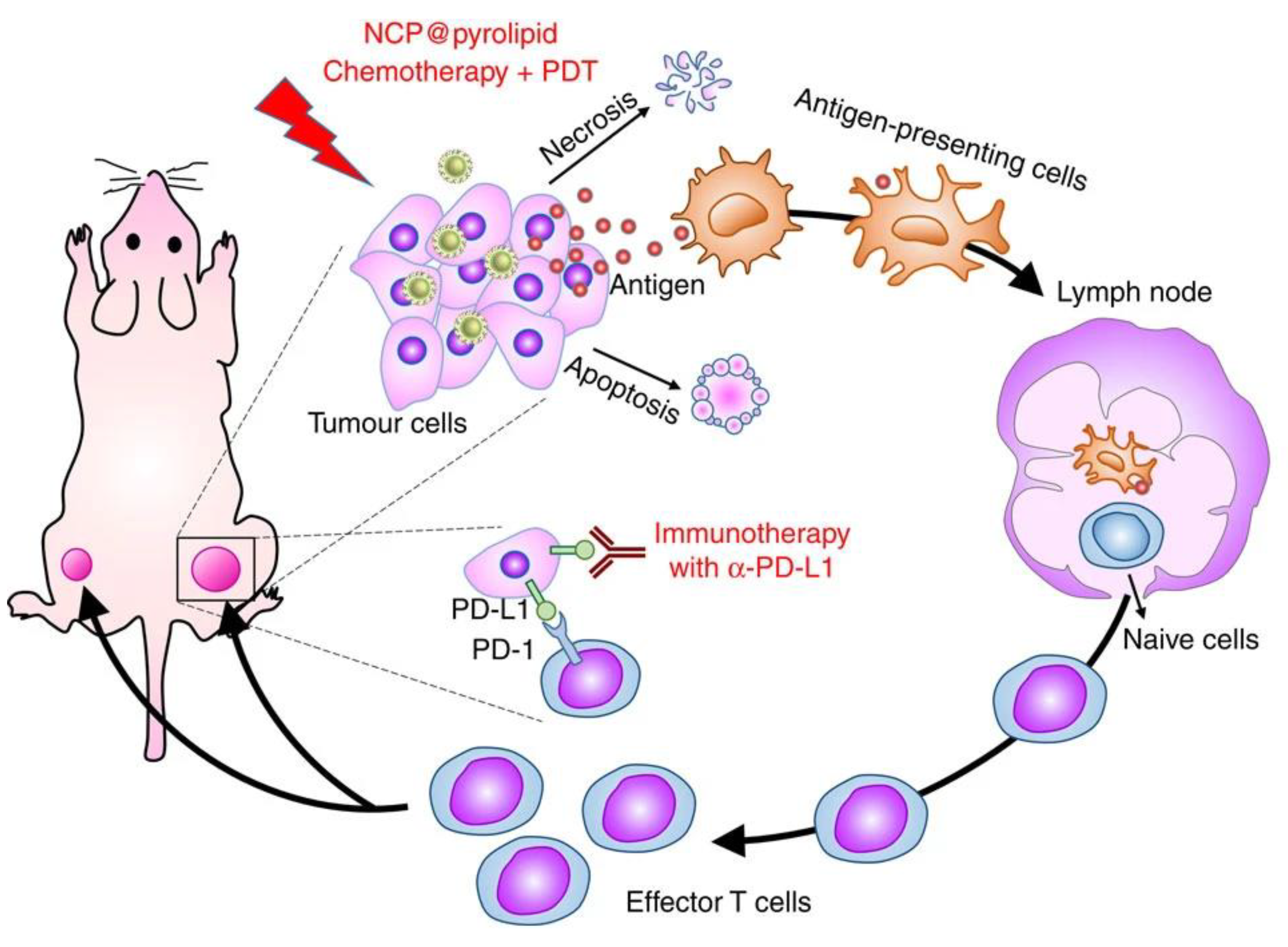 Molecules 25 03449 g004 Molecules 25 03449 g004