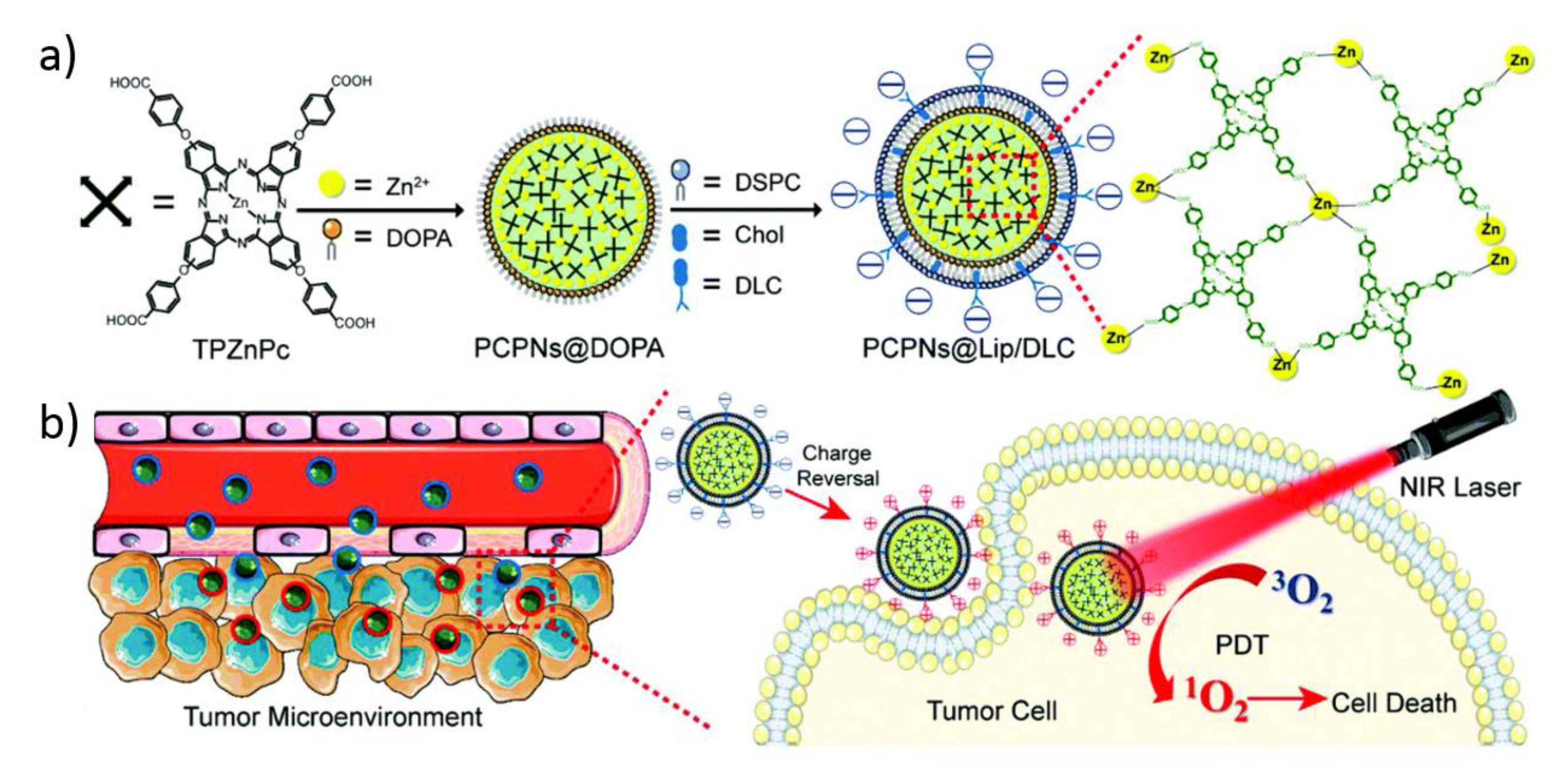 Molecules 25 03449 g005 Molecules 25 03449 g005