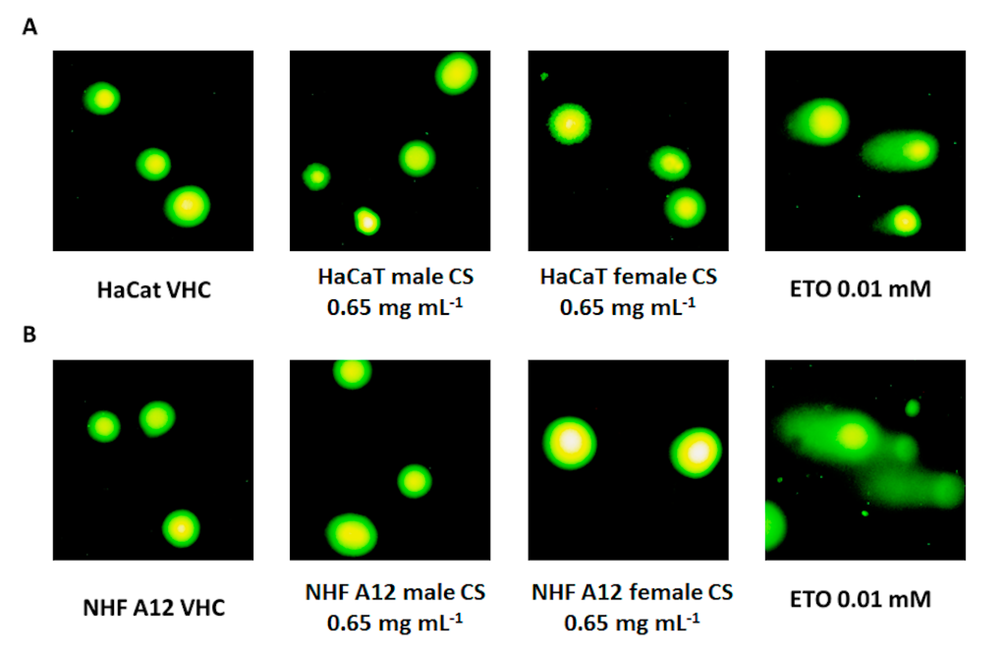 Molecules 25 03451 g005 Molecules 25 03451 g005