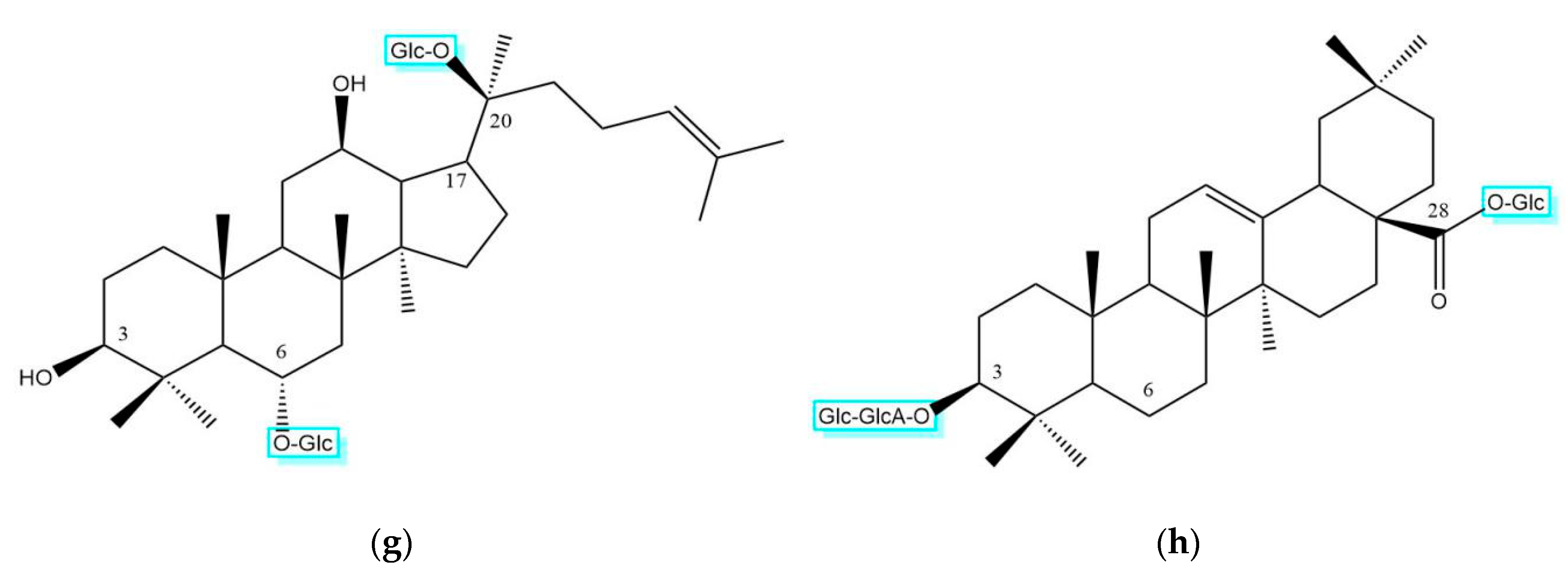 Molecules 25 03452 g002b