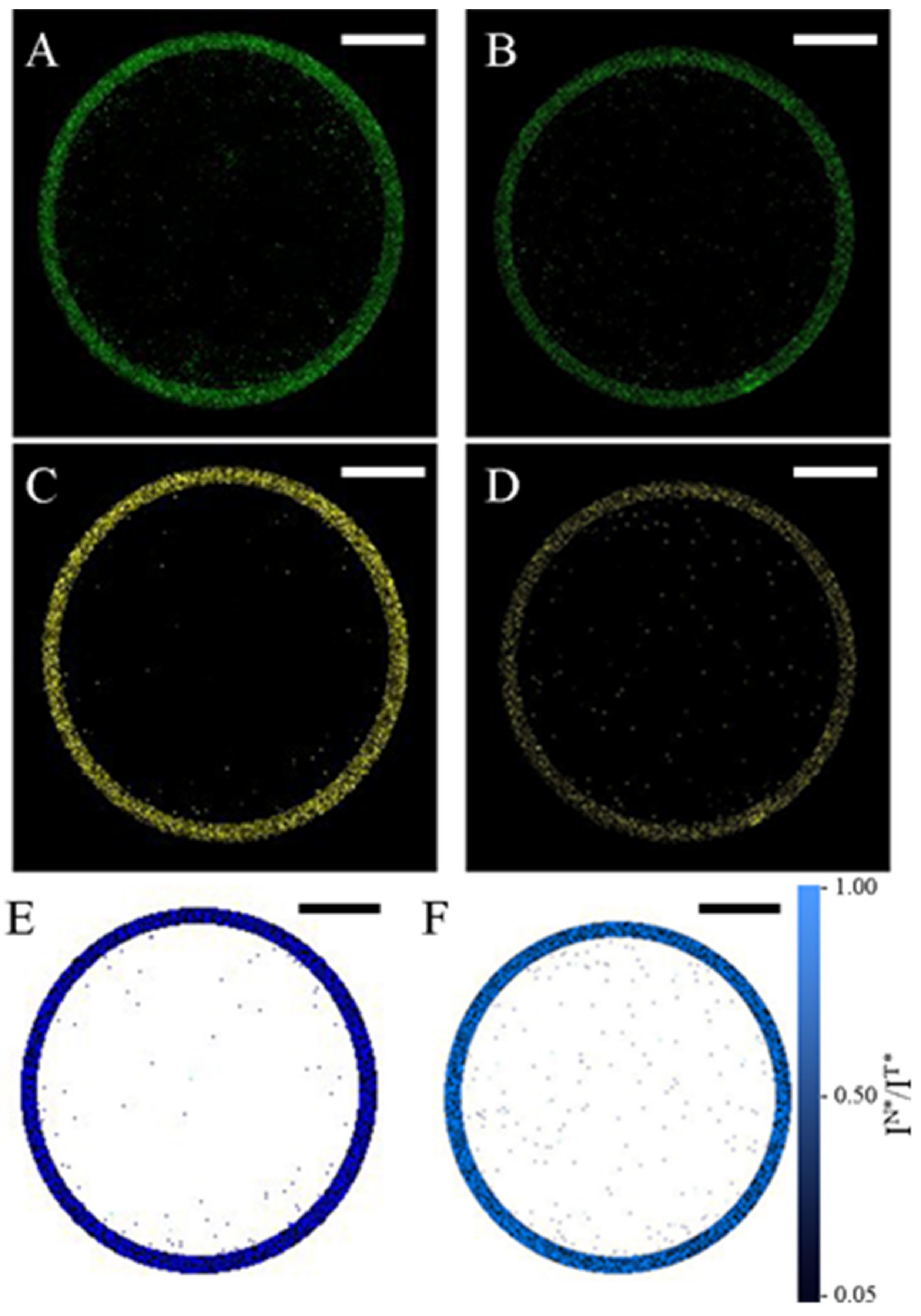 Molecules 25 03458 g005 Molecules 25 03458 g005