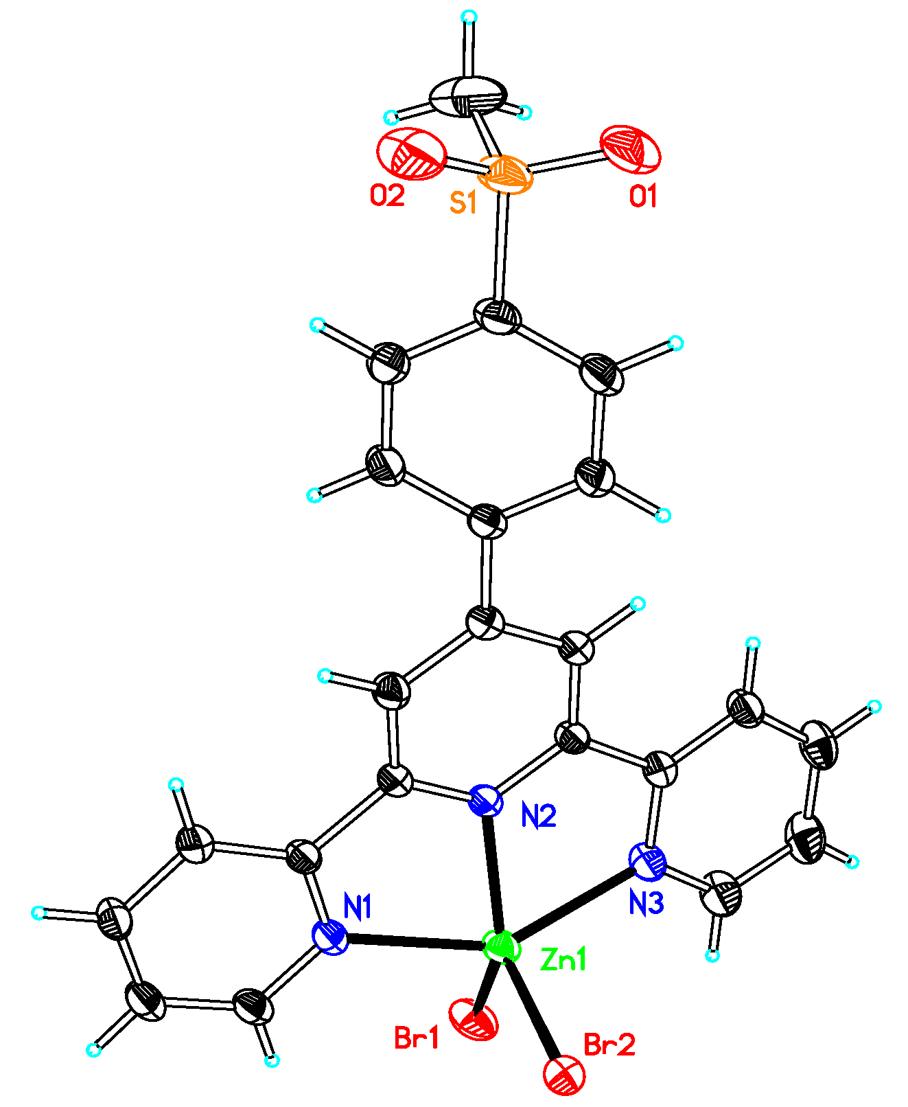 Molecules 25 03459 g001 Molecules 25 03459 g001