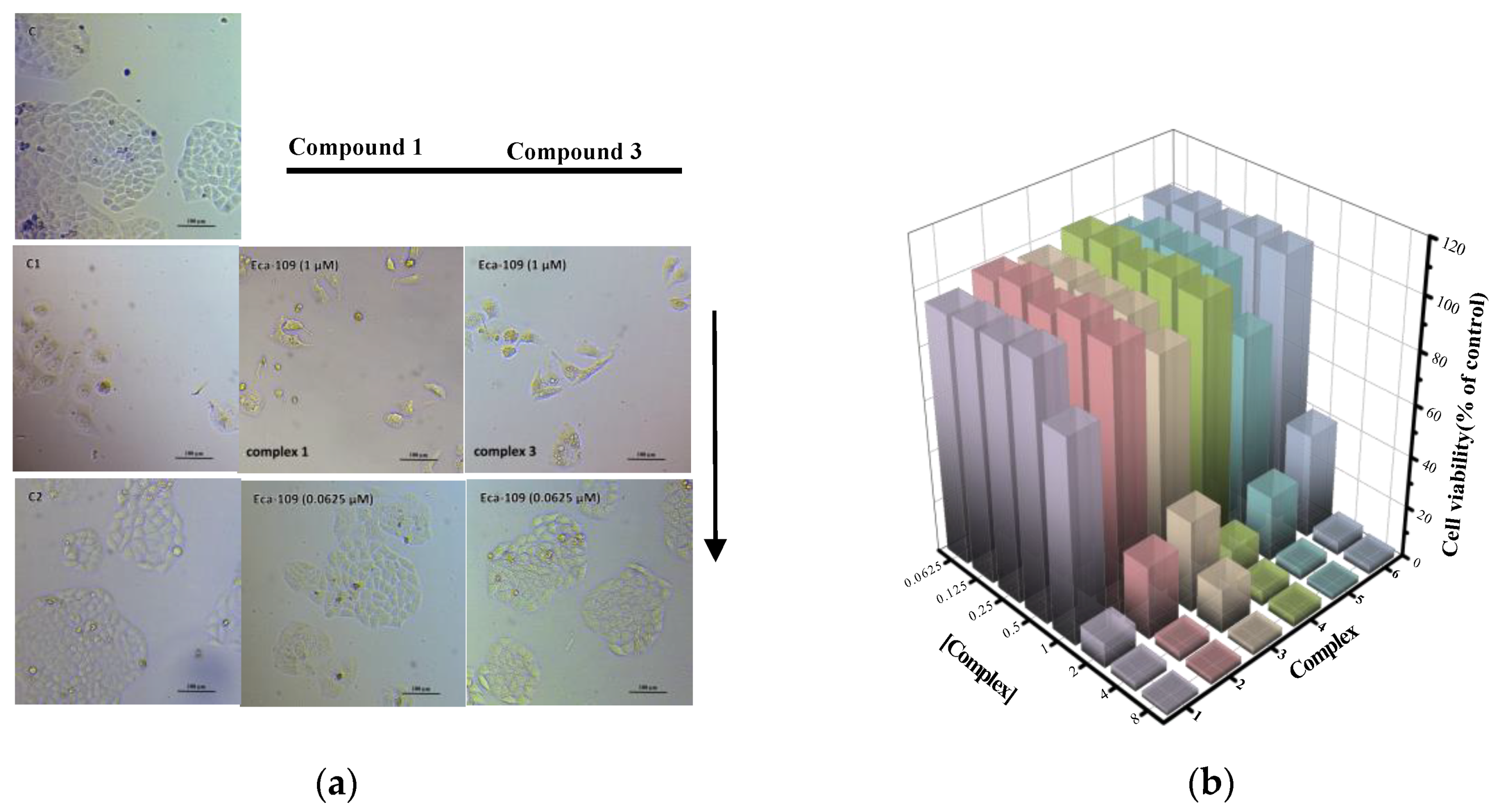 Molecules 25 03459 g005 Molecules 25 03459 g005