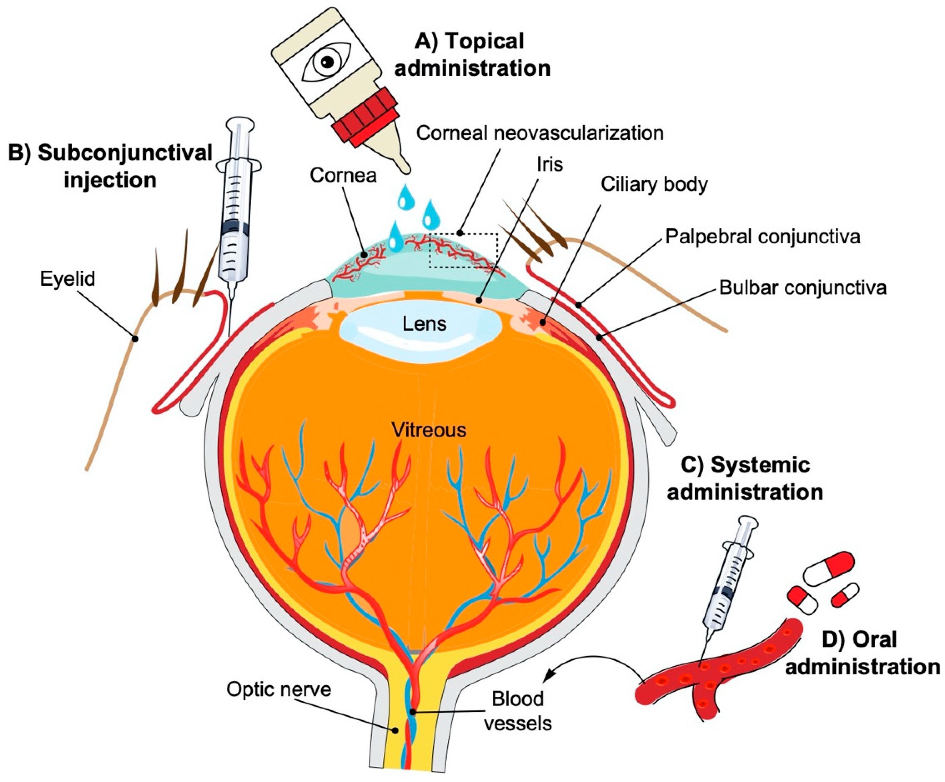Molecules 25 03468 g001 Molecules 25 03468 g001