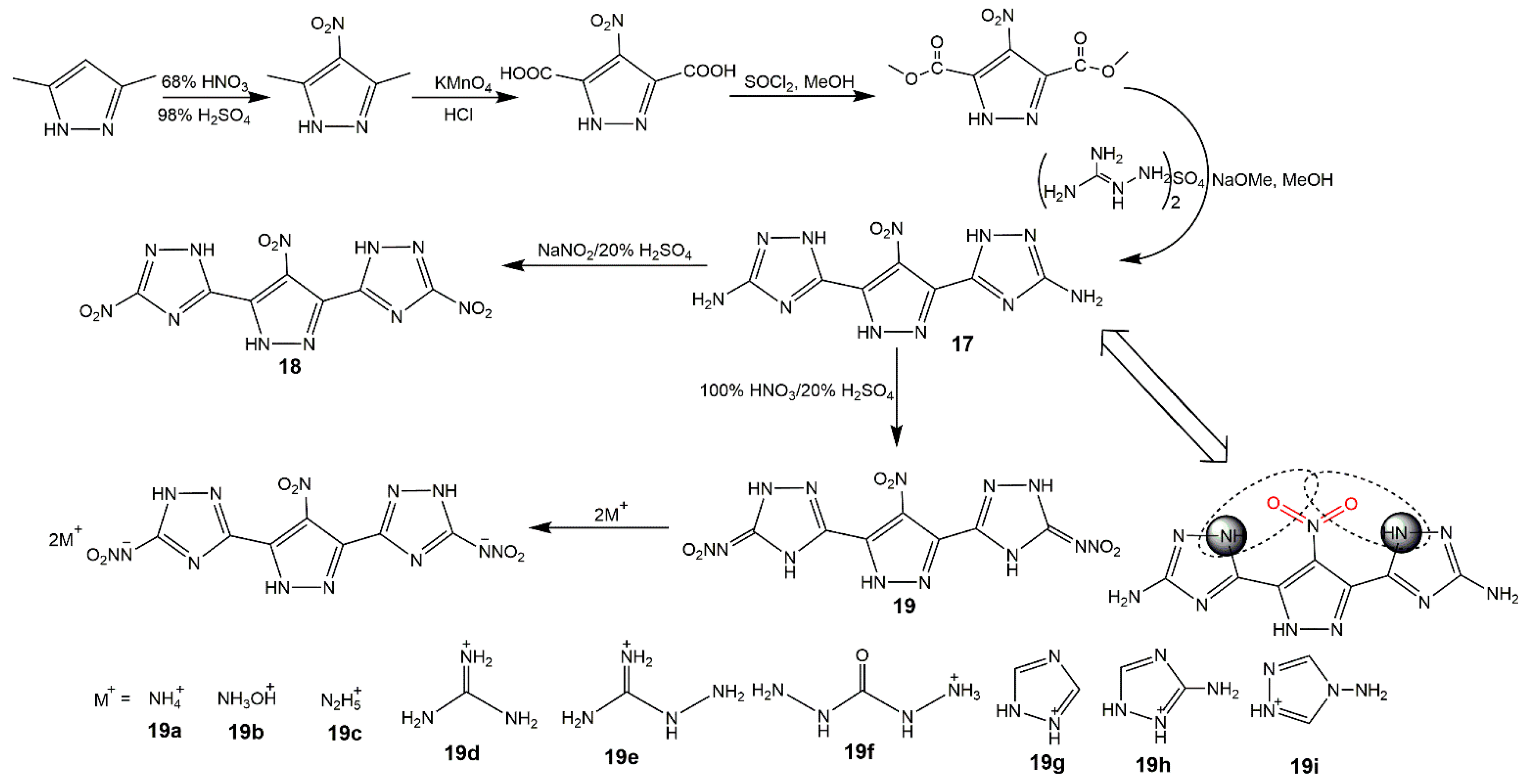 Molecules 25 03475 g009