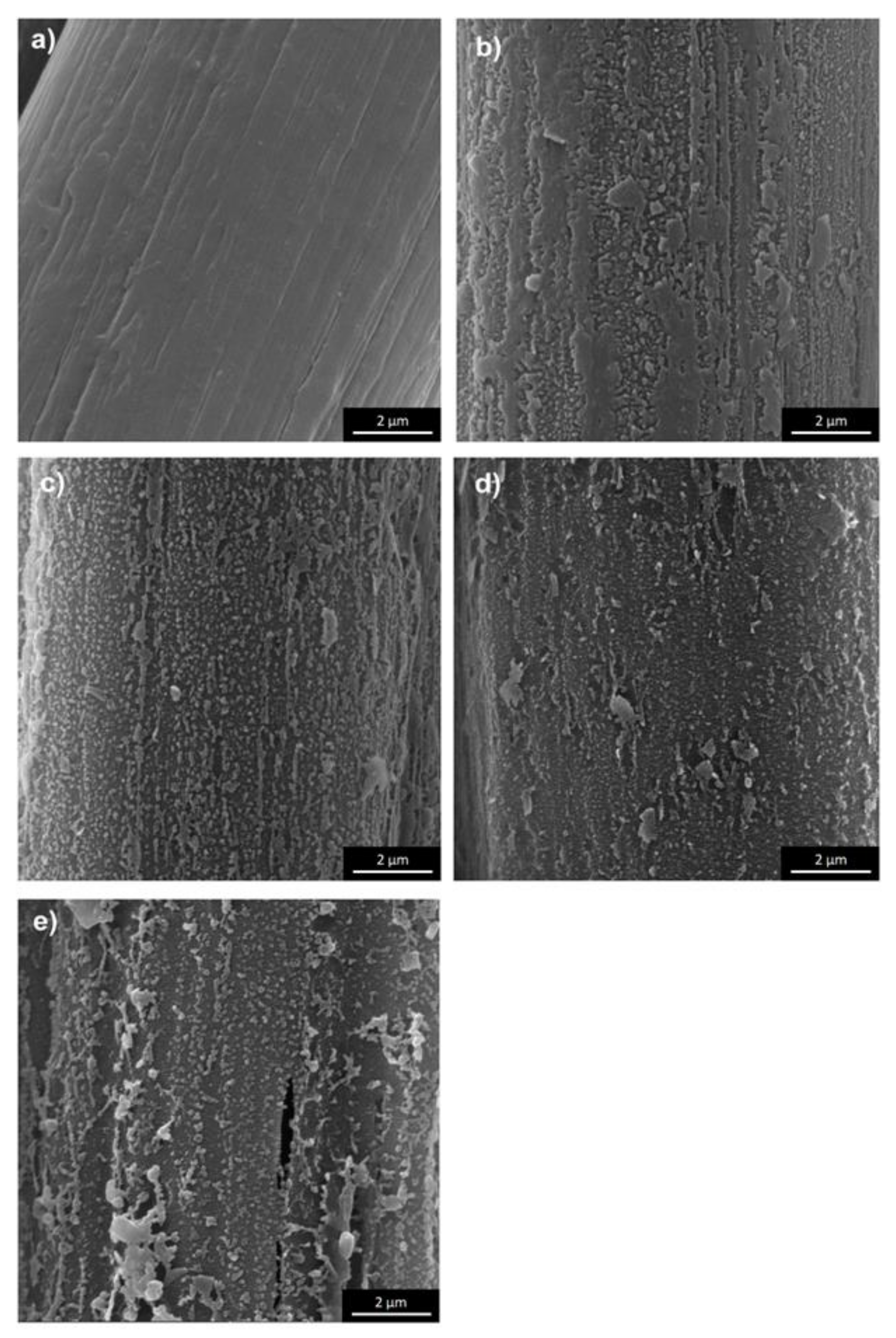 Molecules 25 03476 g001