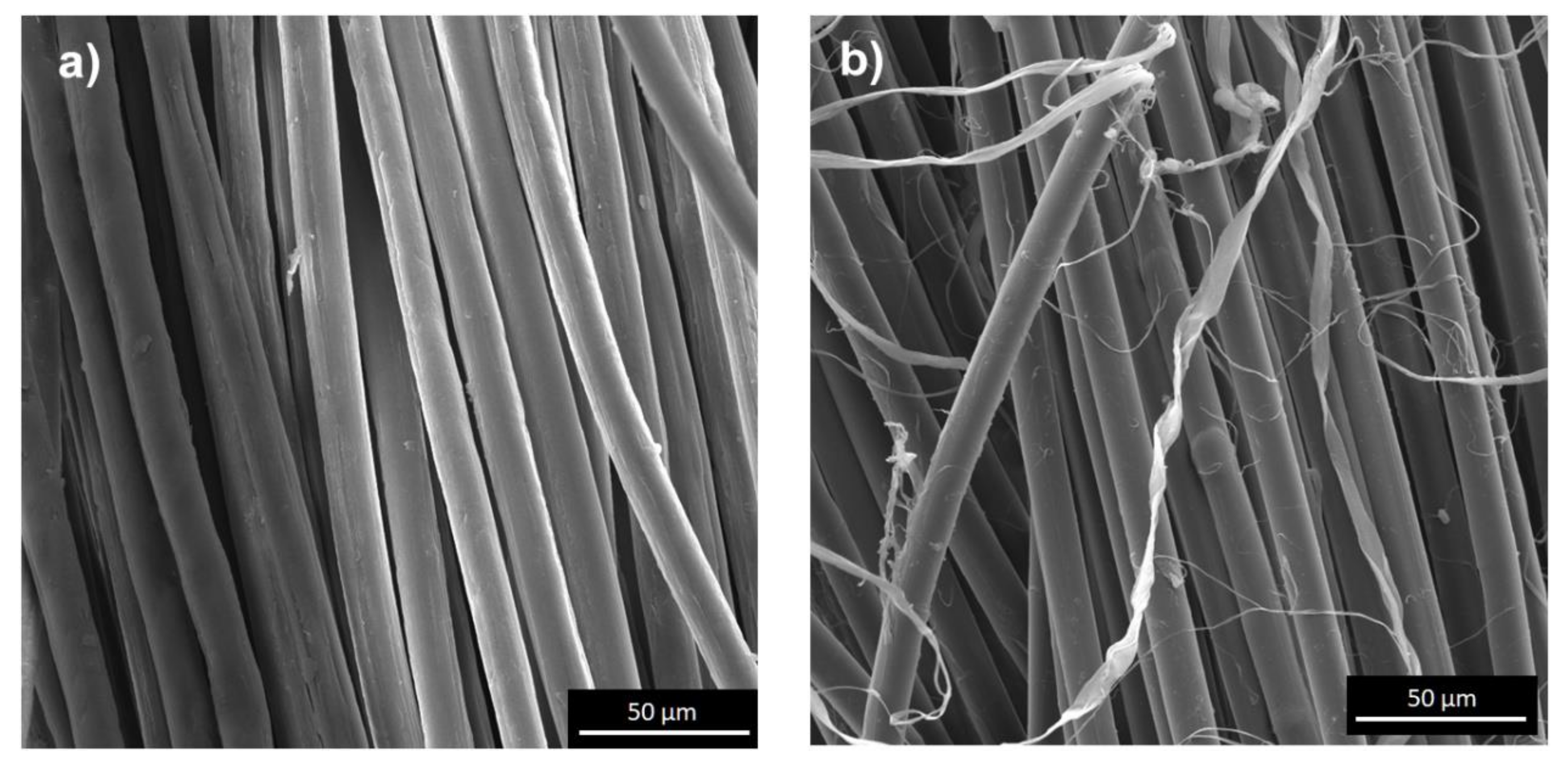 Molecules 25 03476 g013