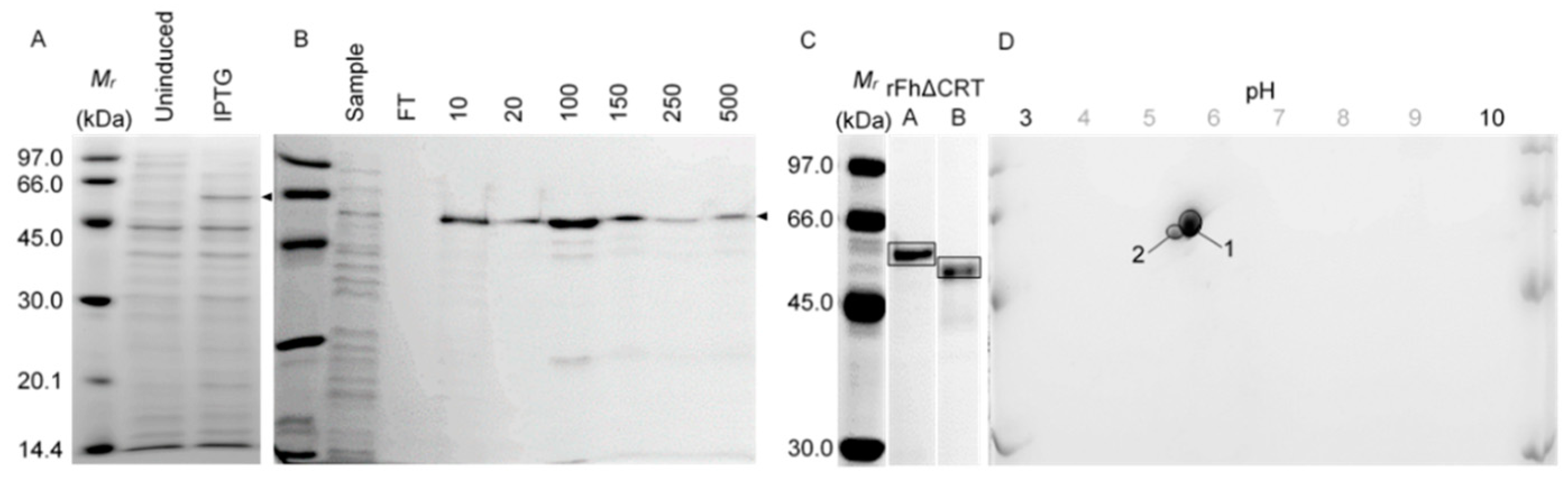 Molecules 25 03477 g001 Molecules 25 03477 g001