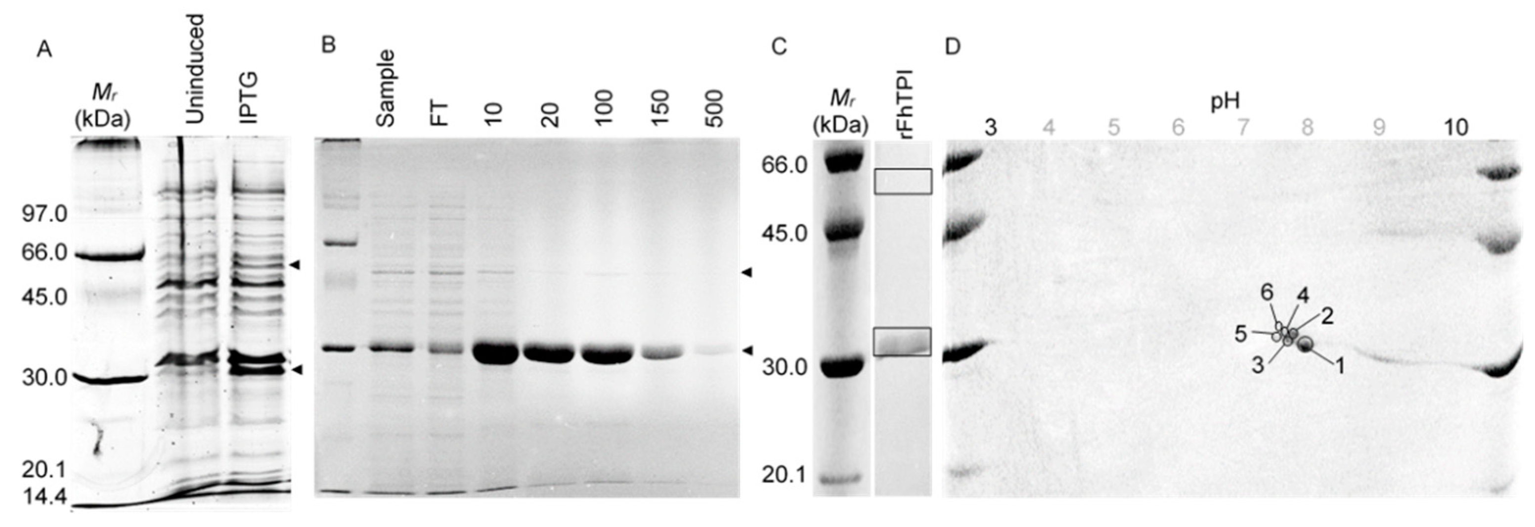 Molecules 25 03477 g002 Molecules 25 03477 g002