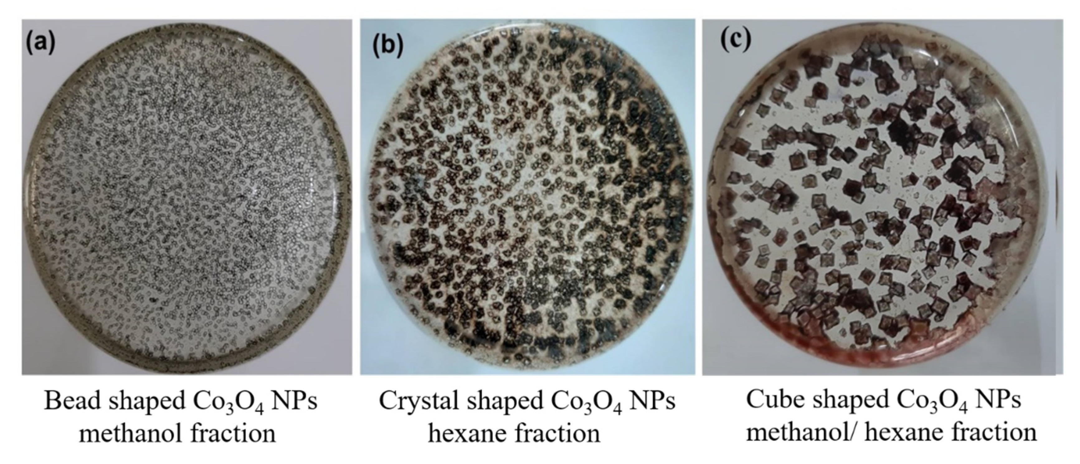 Molecules 25 03478 g005 Molecules 25 03478 g005