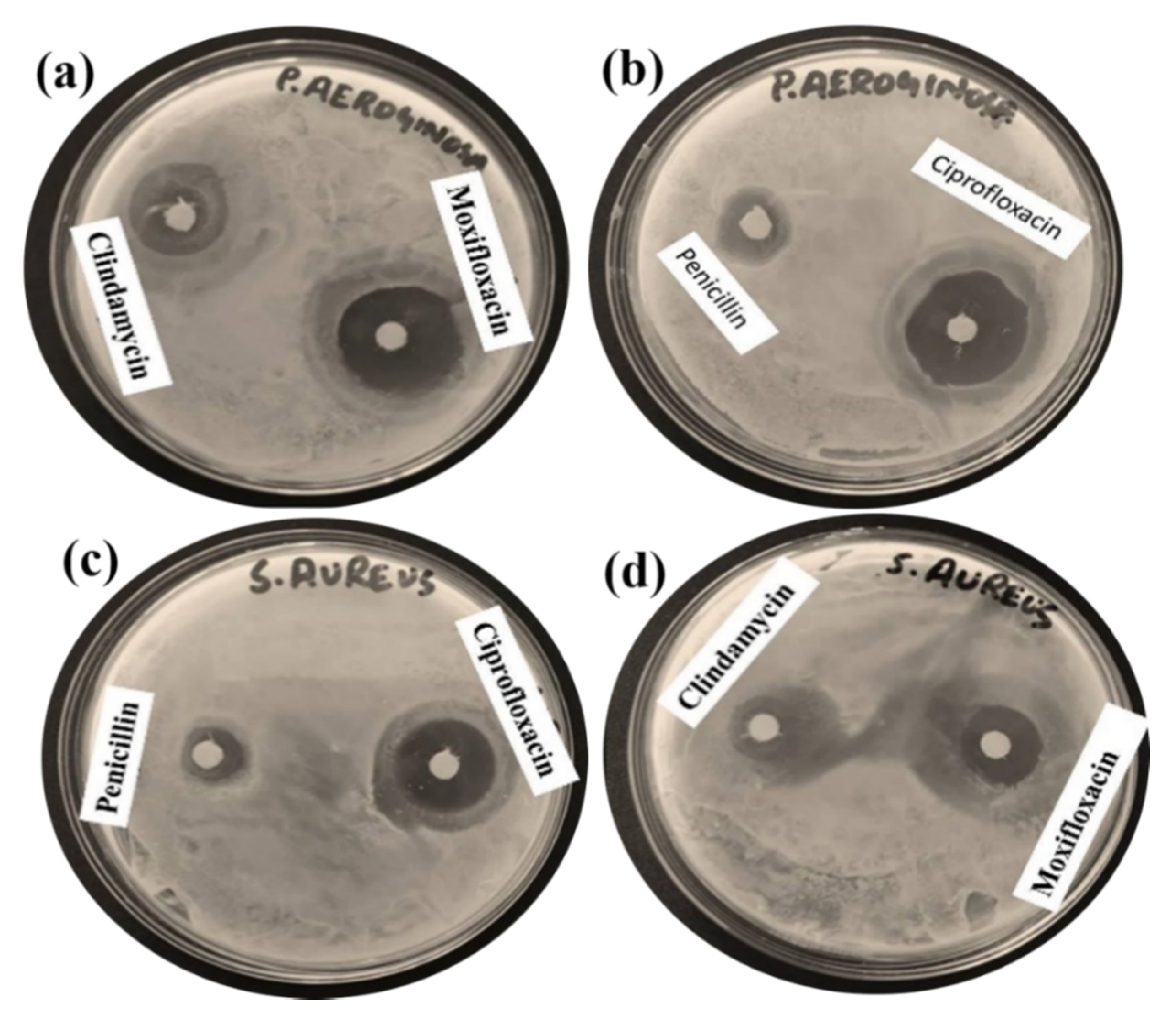 Molecules 25 03478 g006 Molecules 25 03478 g006