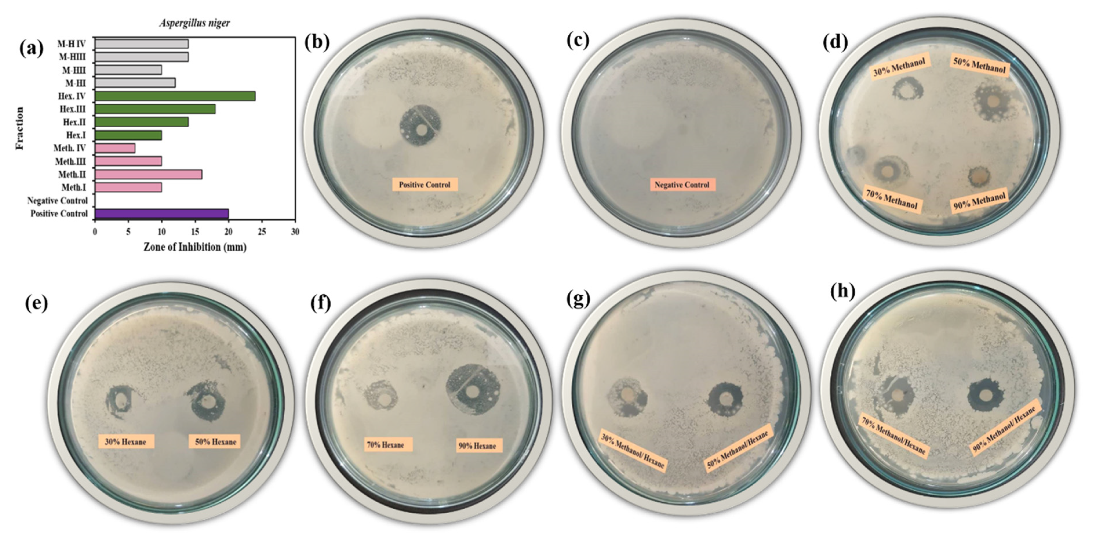 Molecules 25 03478 g009 Molecules 25 03478 g009